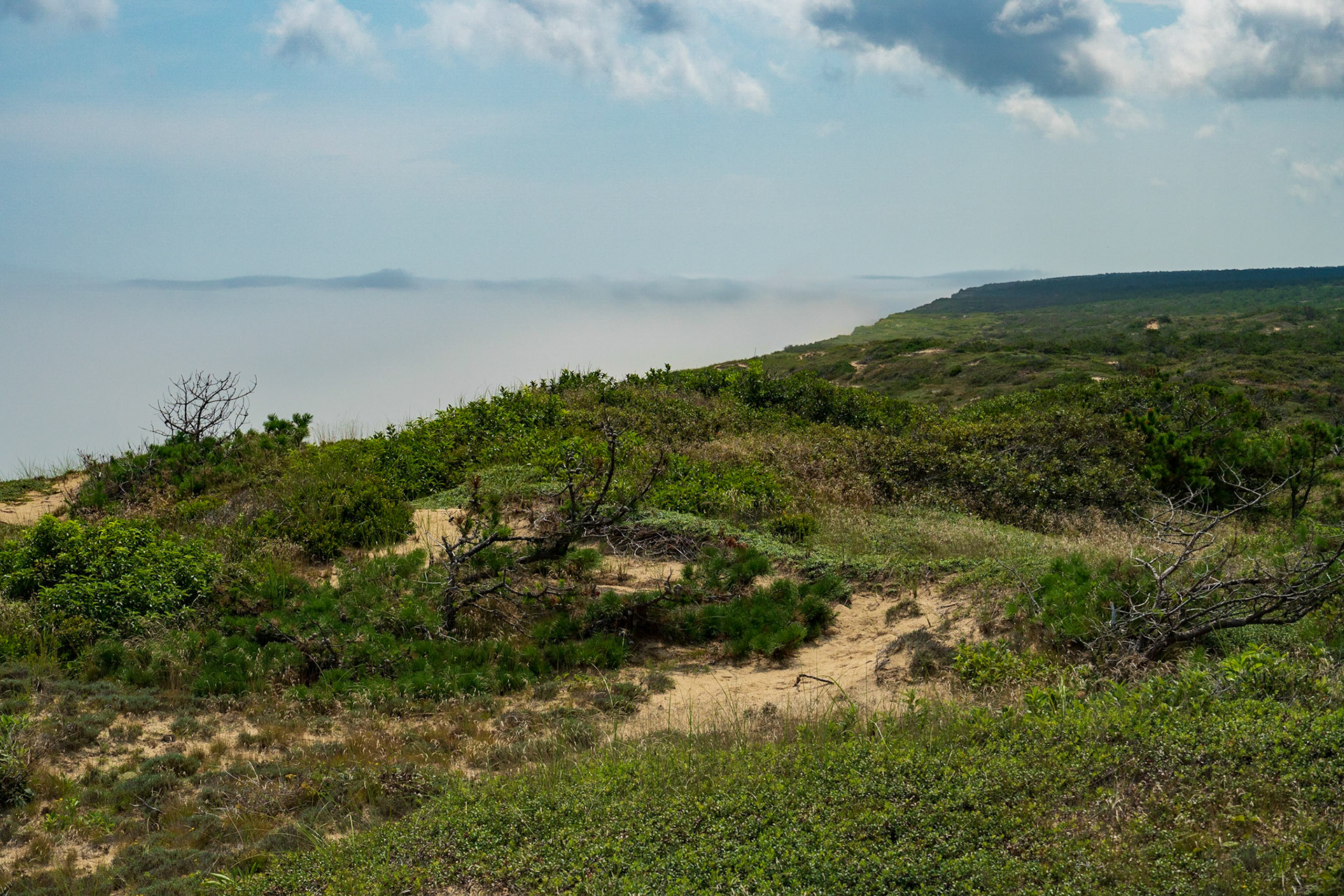 Cape Cod National Seashore