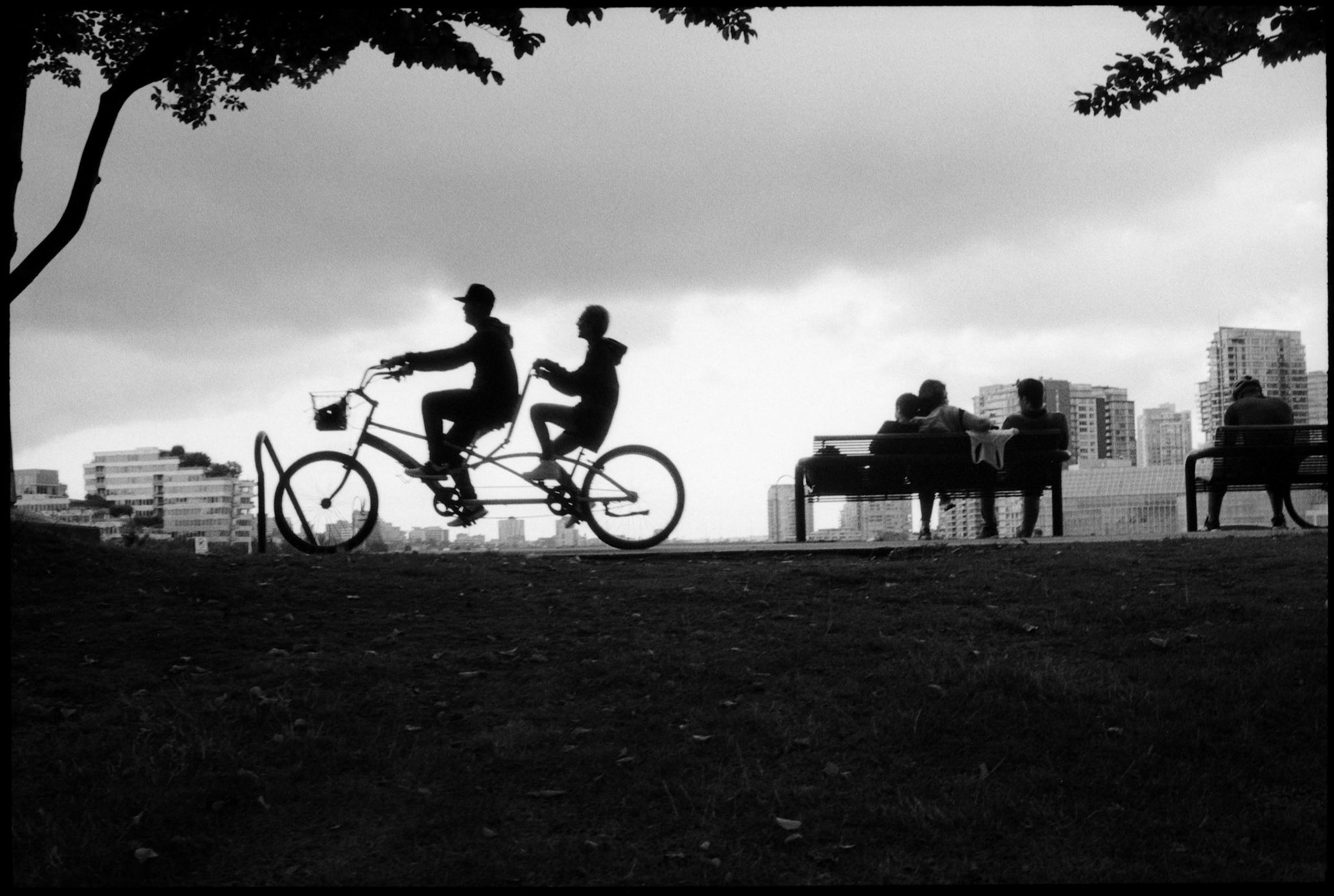 Letting the afternoon roll by