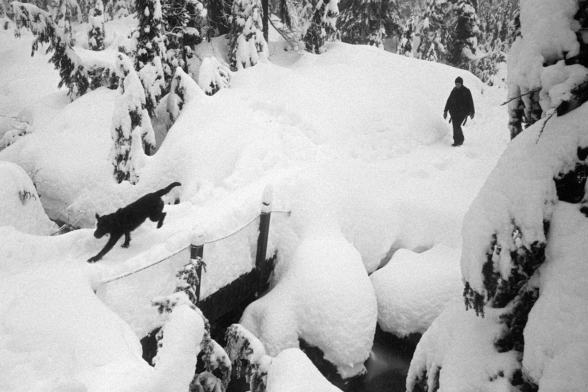 Taking Dog Mountain (By Strategy)