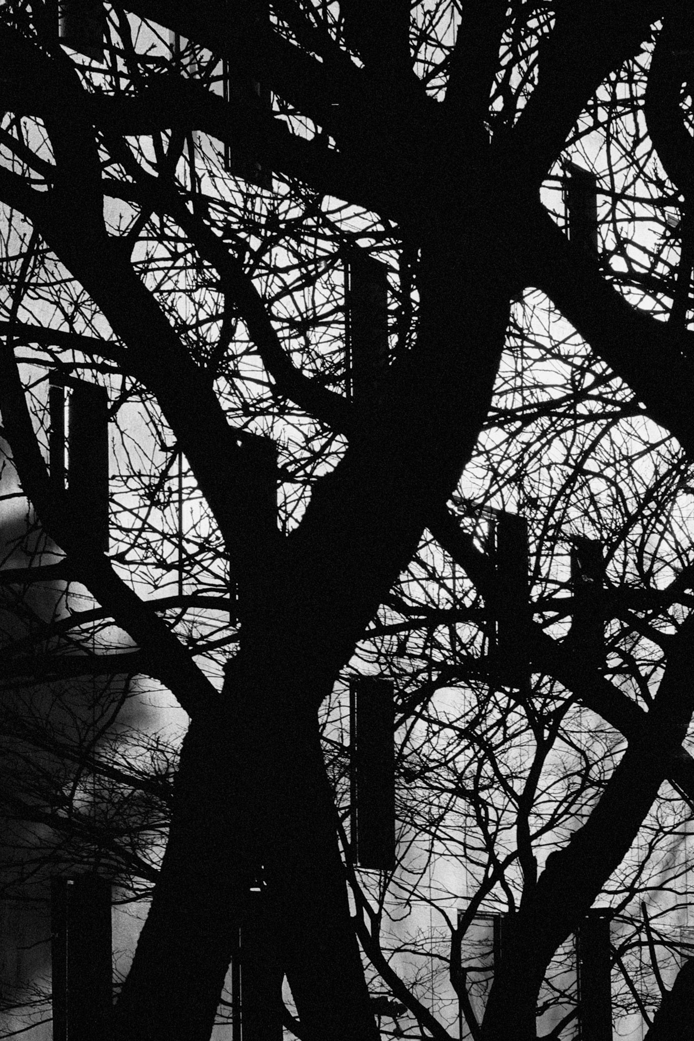 Still corners of the city