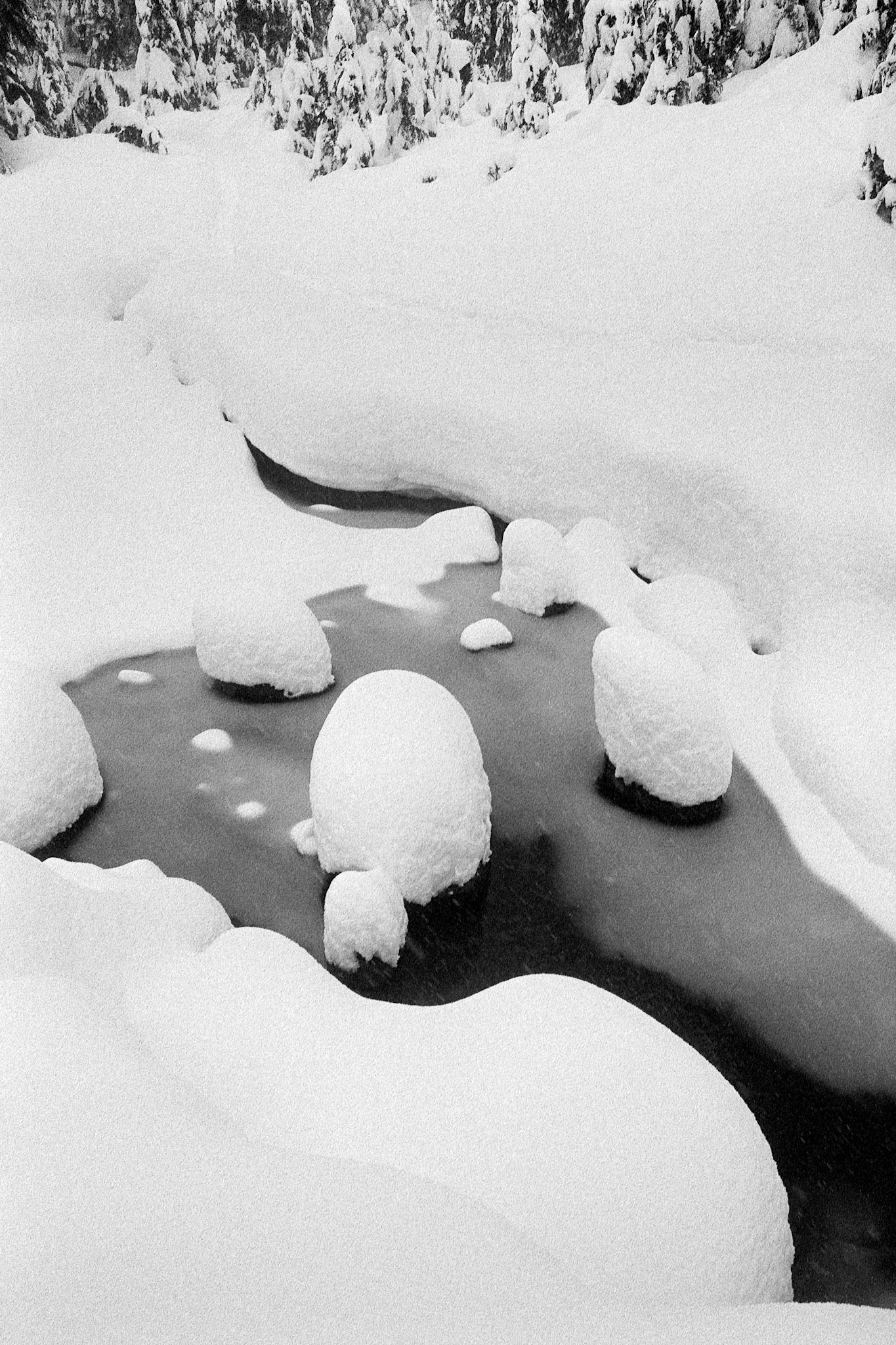 Snow domes on rocks in a cold stream