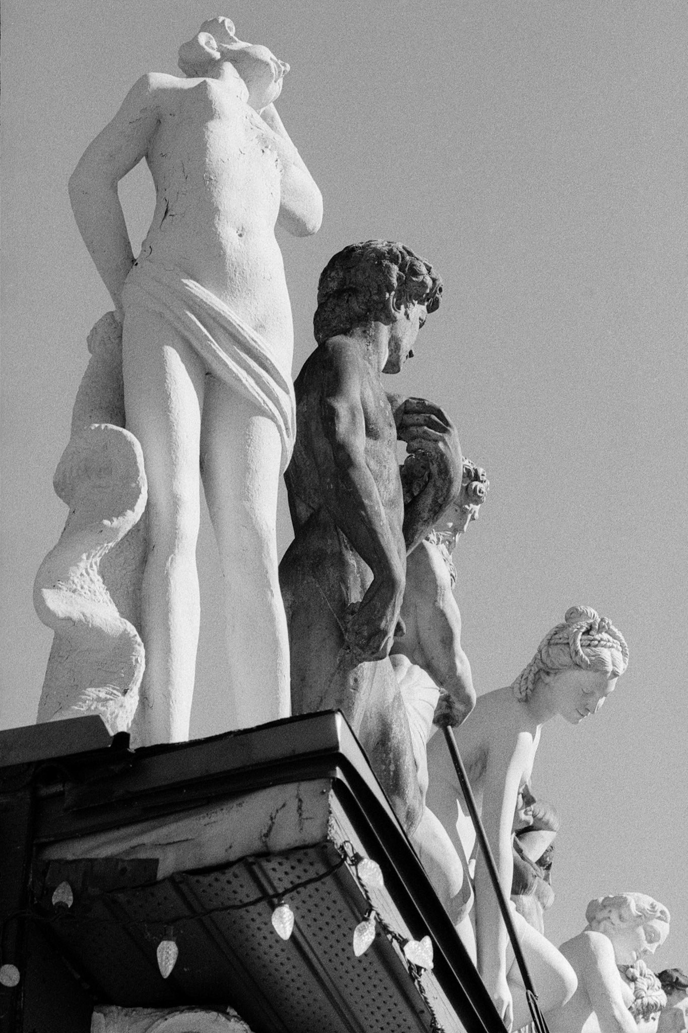 Postcard from the lawn ornament store