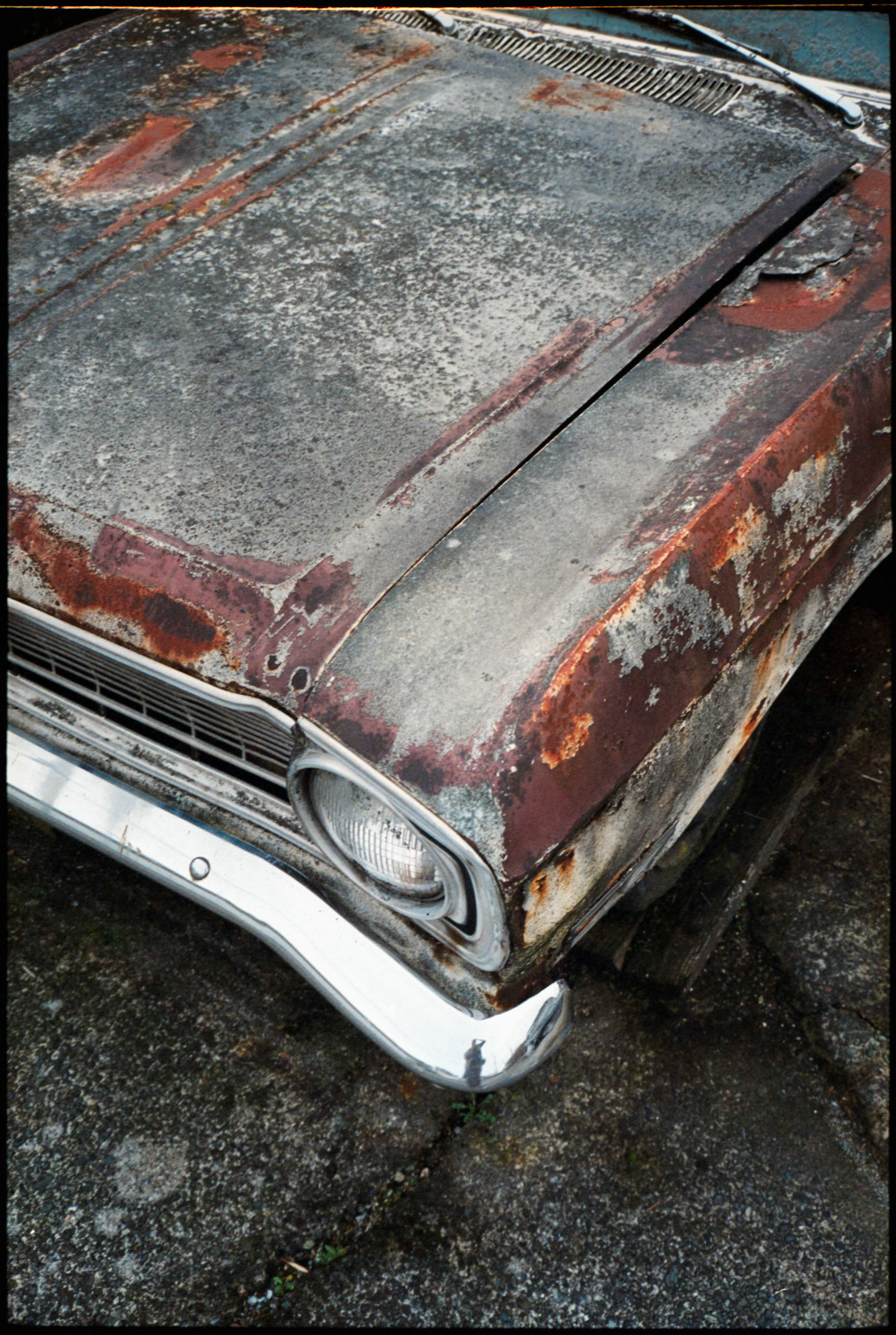 Curbside on Kingsway