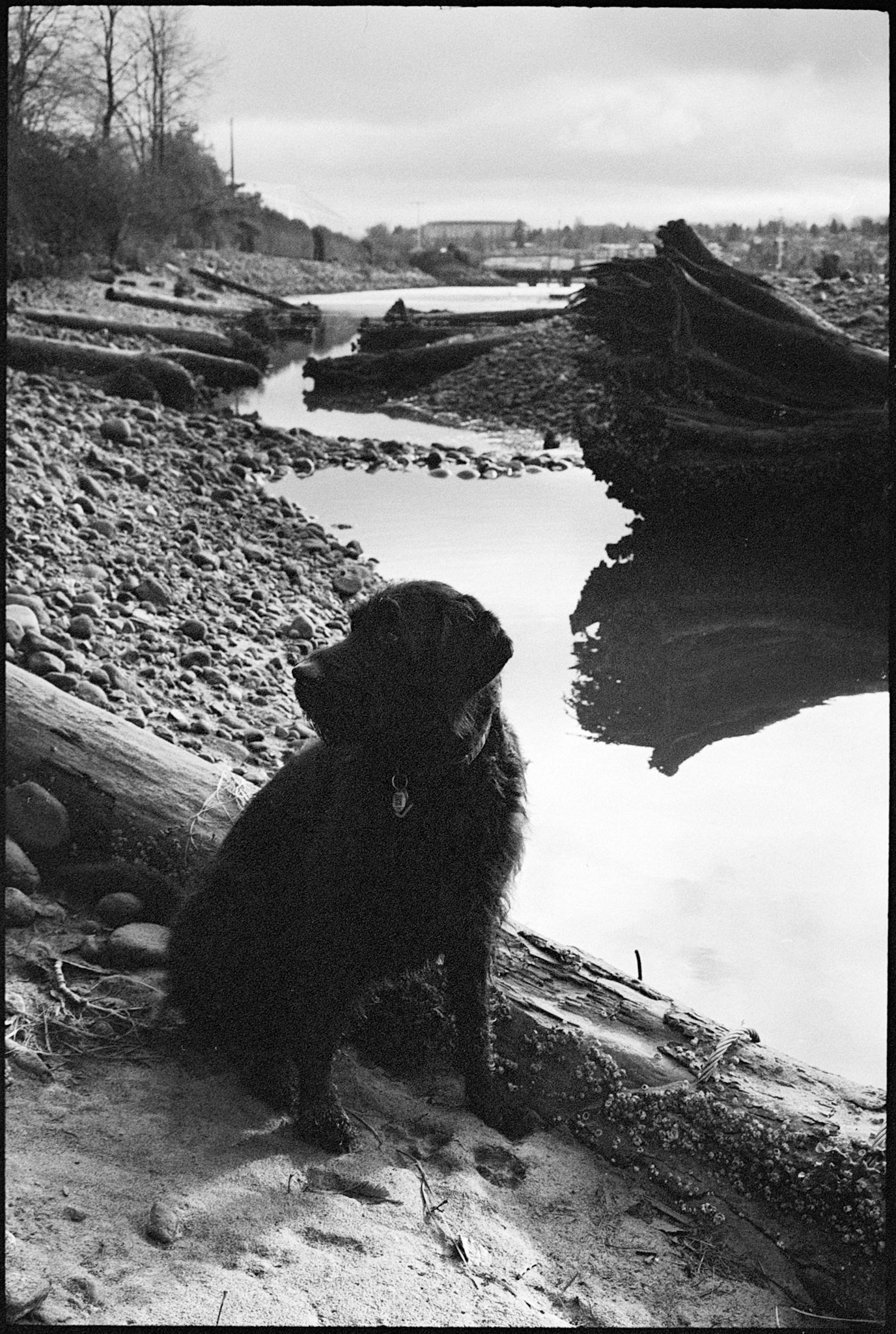 At the mouth of Lynn Creek