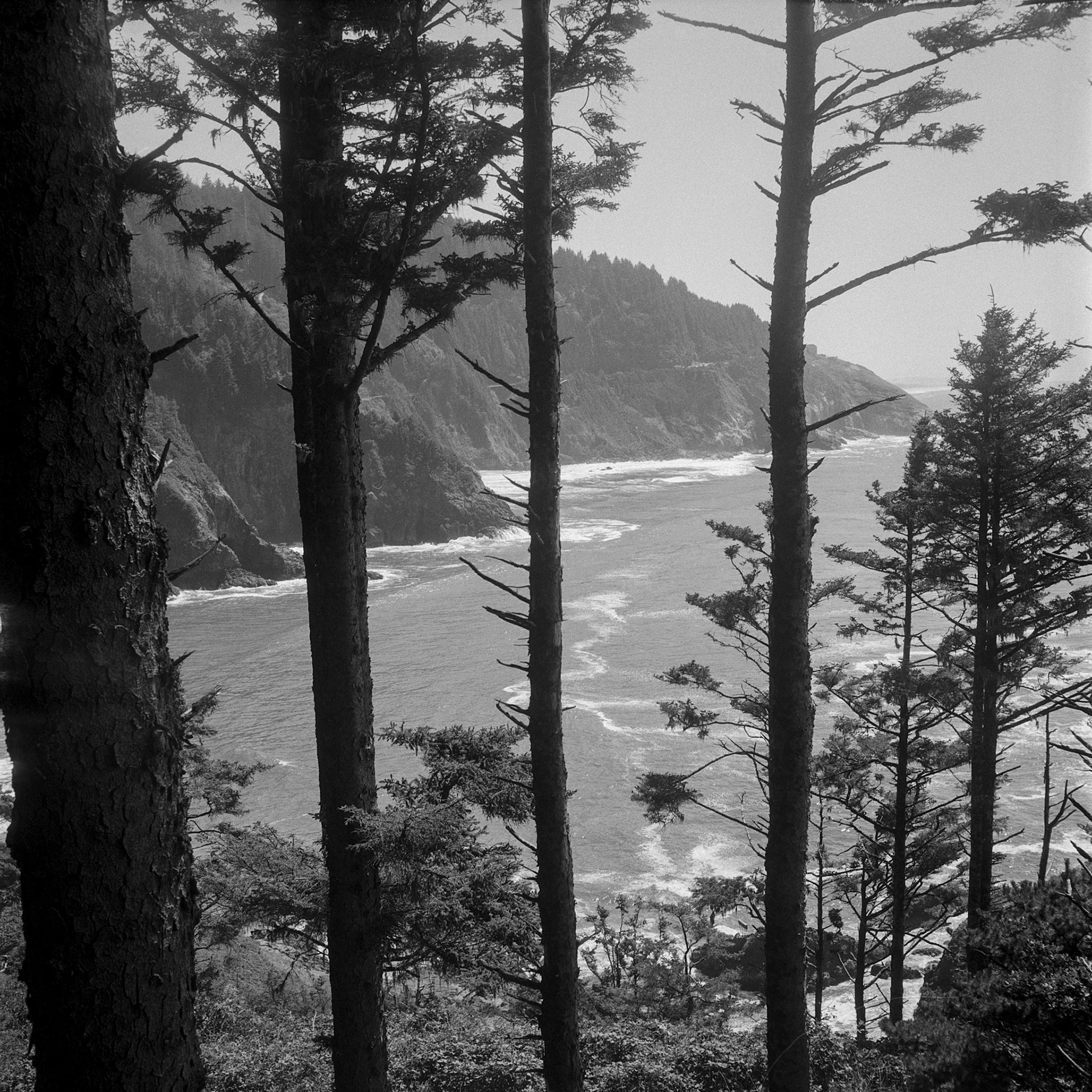 Heceta Head Lighthouse, OR