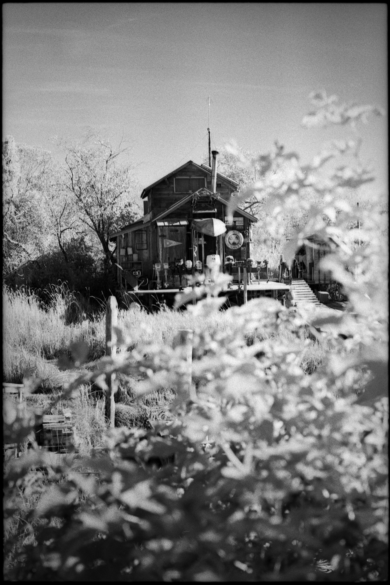 Finn Slough