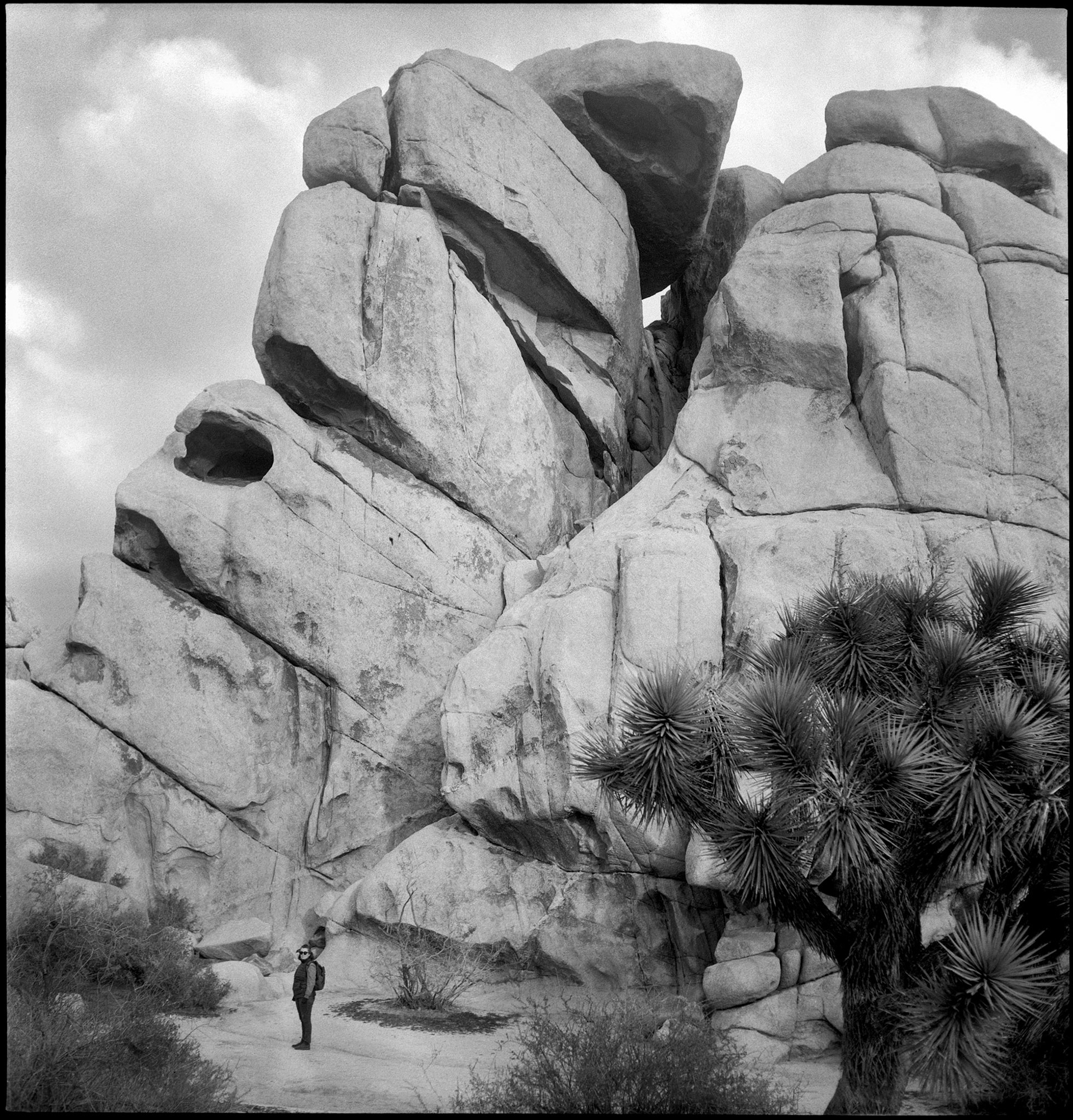 Rock formation, Joshua Tree