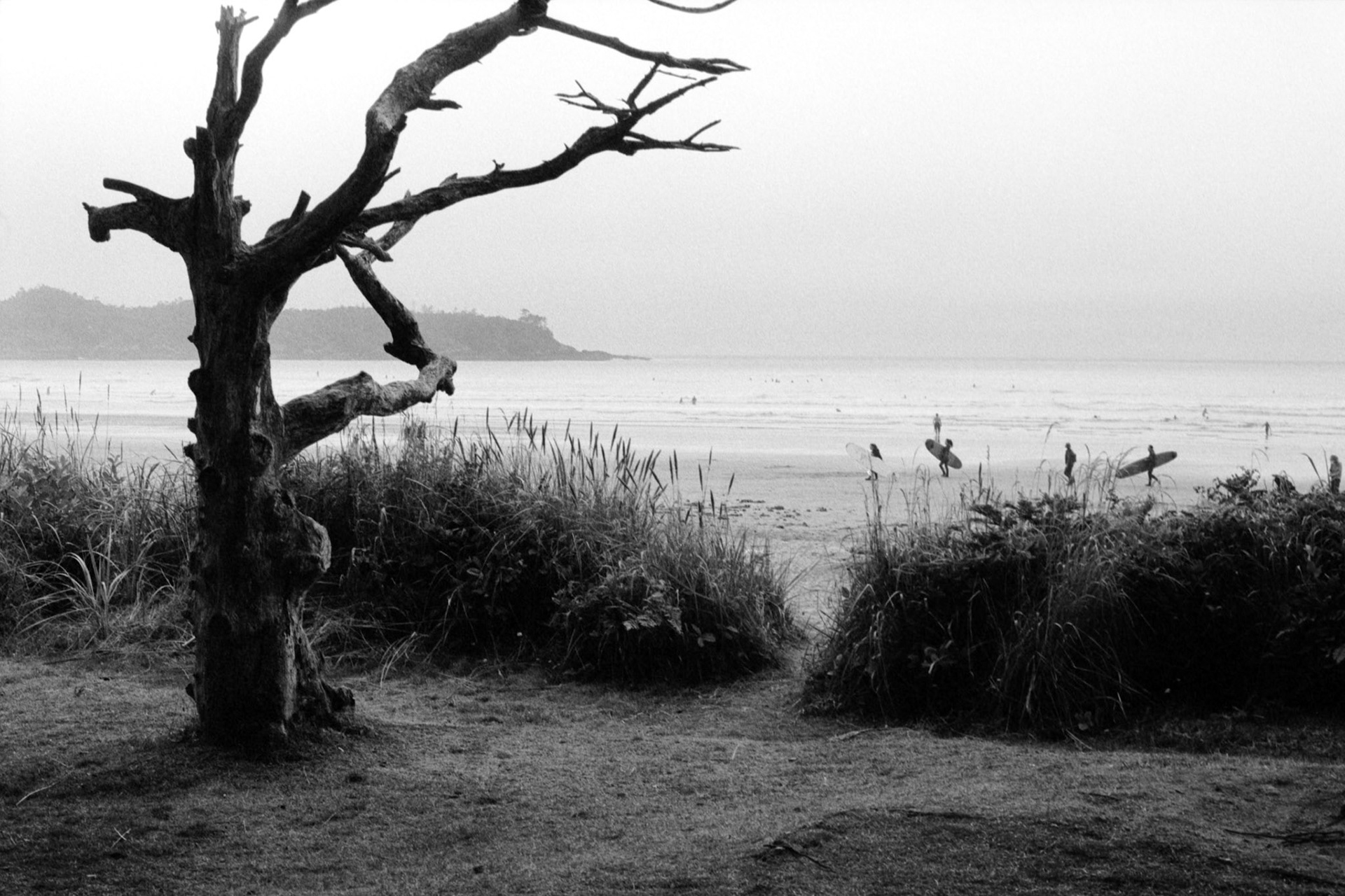 Postcards from Cox Bay