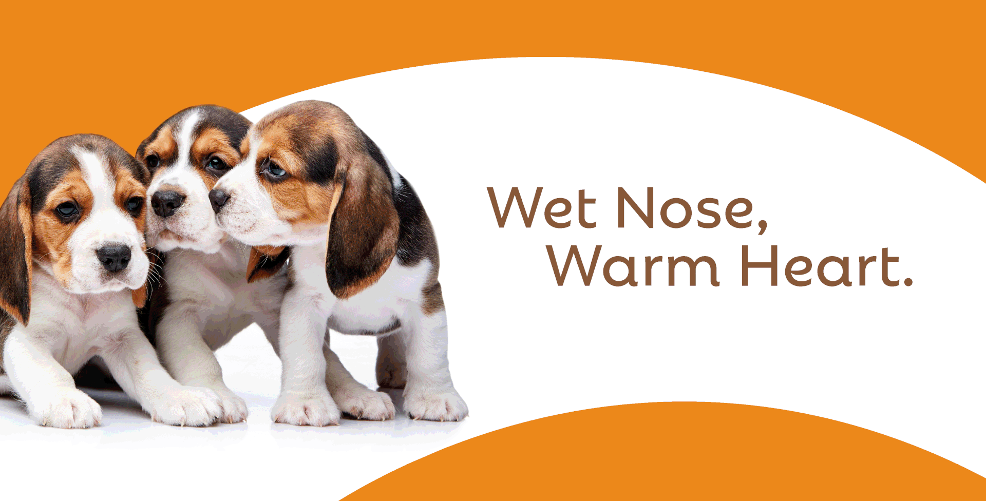 Pencil worx pet centric healthcare