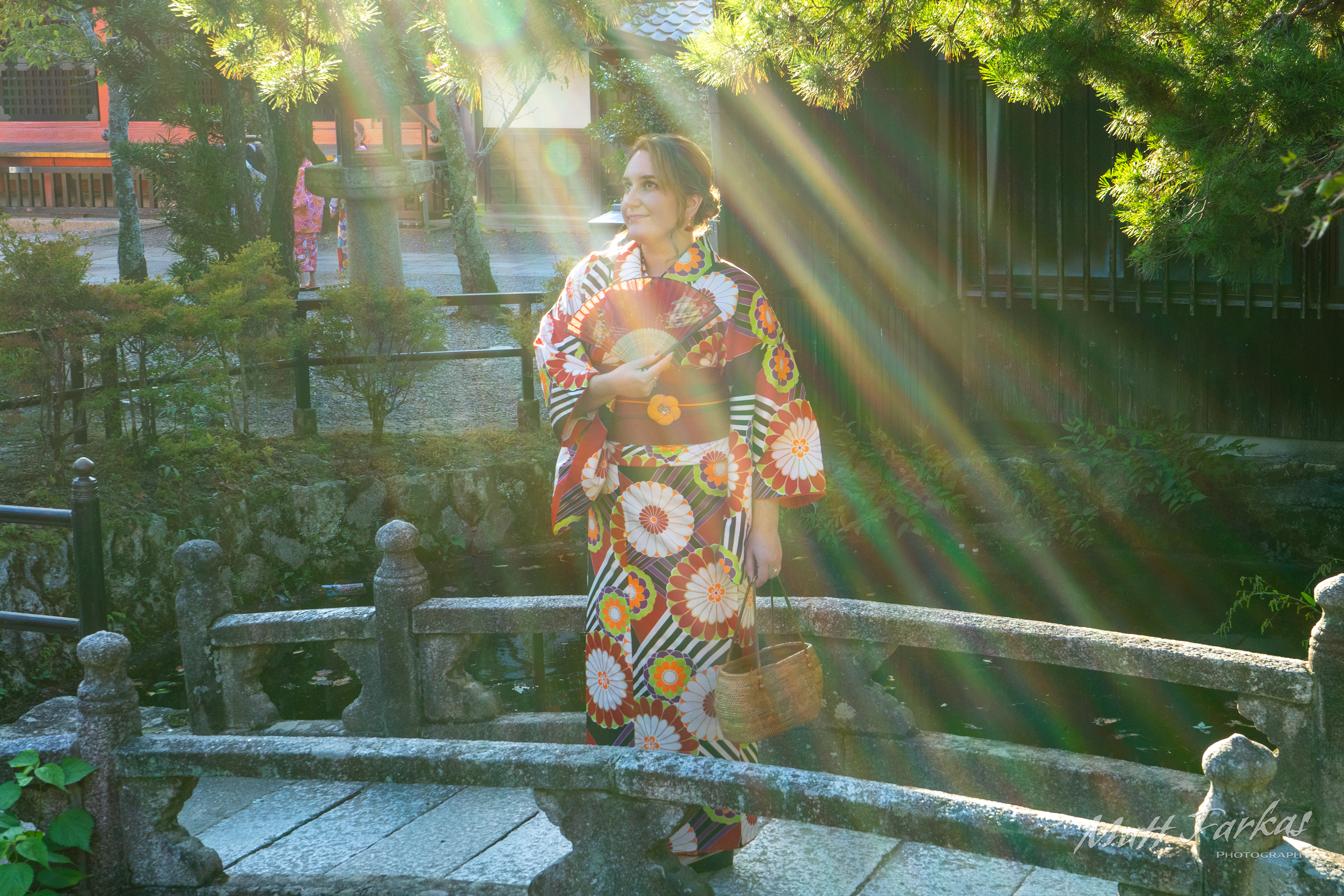 Rays Of Light (Kyoto, Japan)
