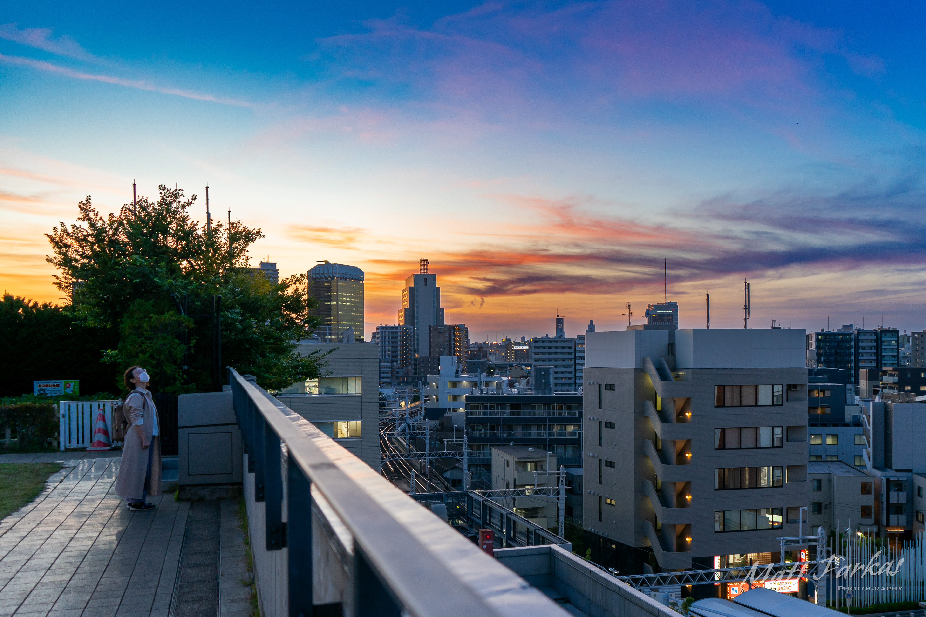The Tokyo Skyline (Tokyo, Japan)