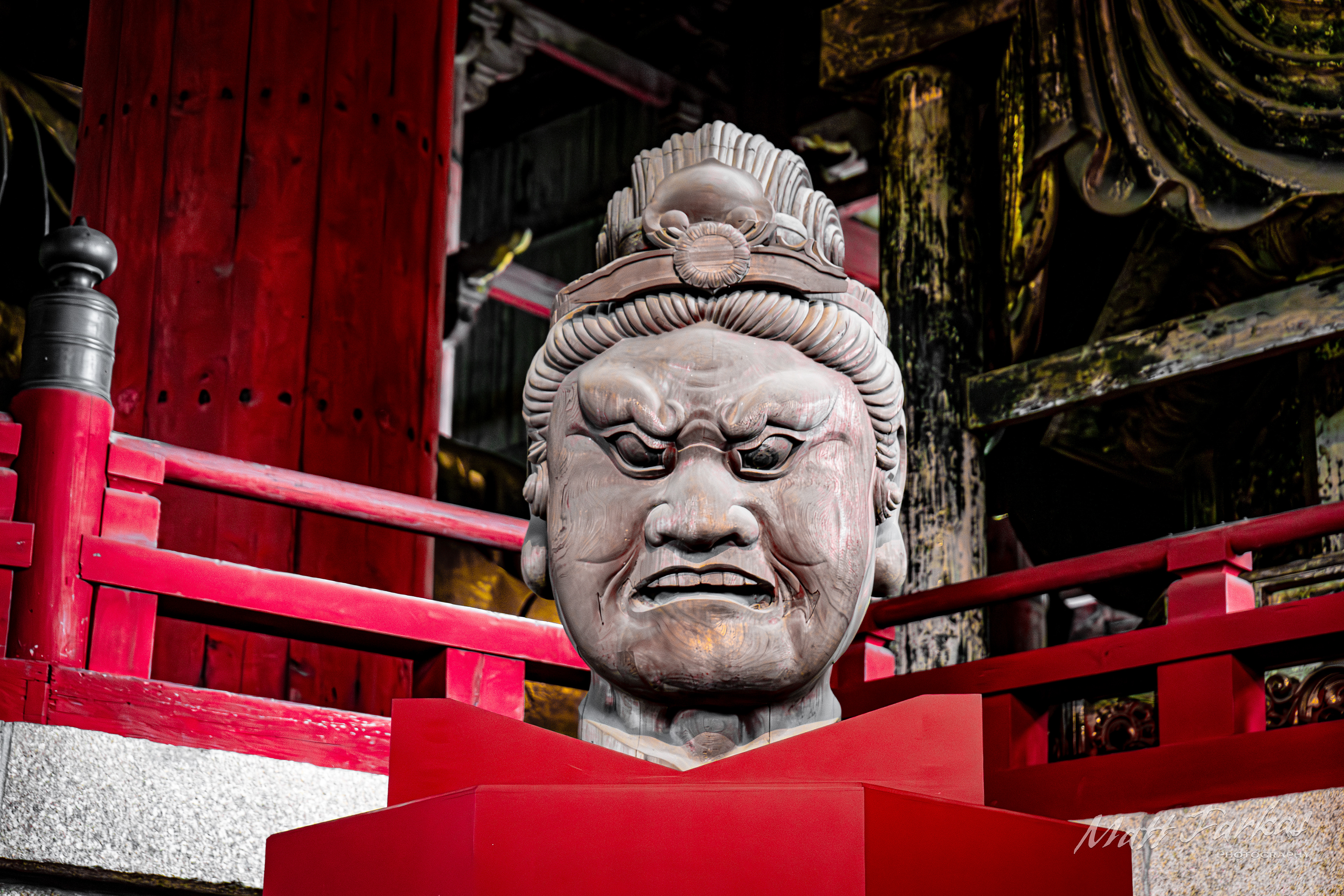 A Warrior's Scowl (Nara, Japan)