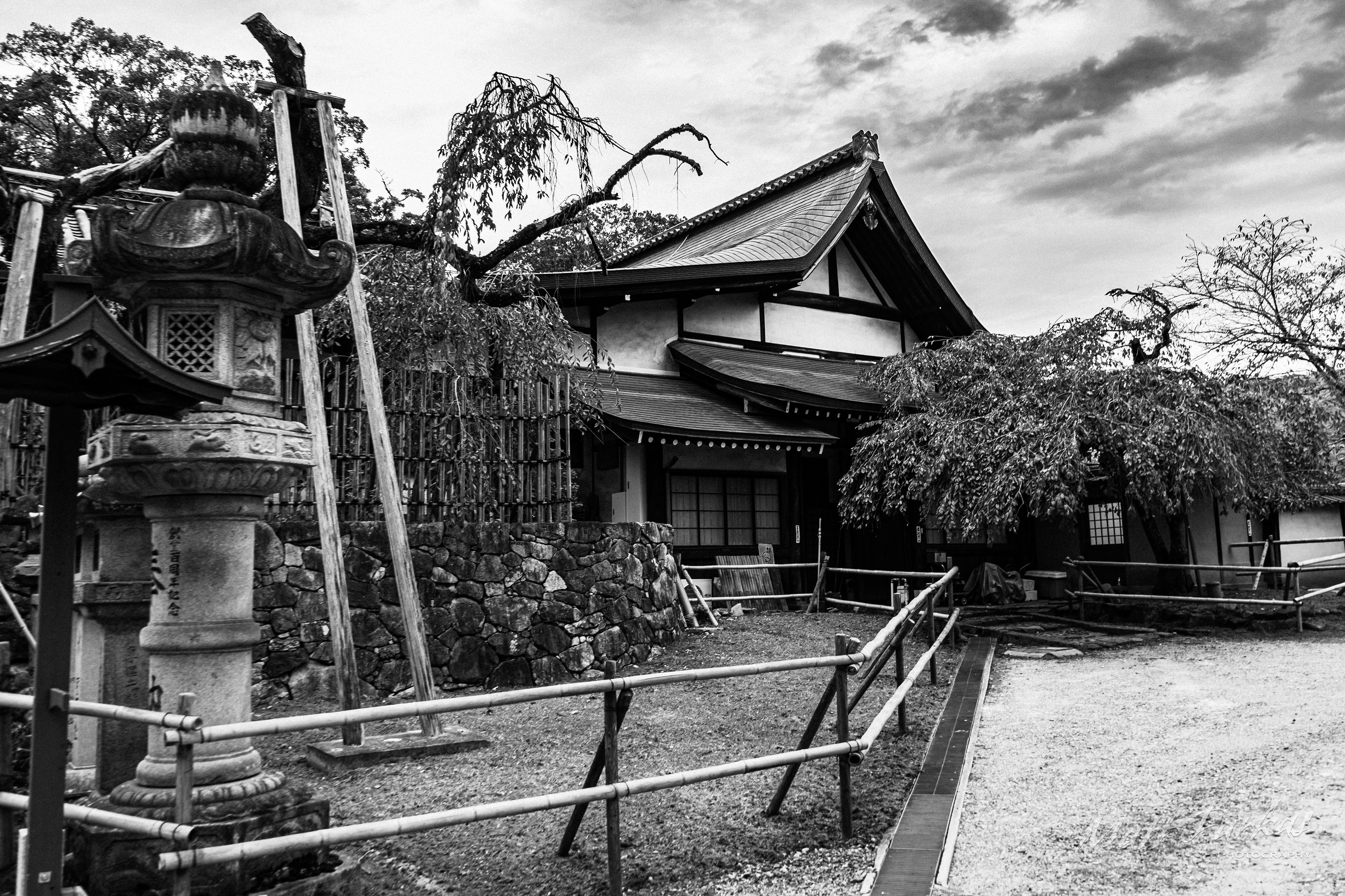 A Moment In Time (Kyoto, Japan)