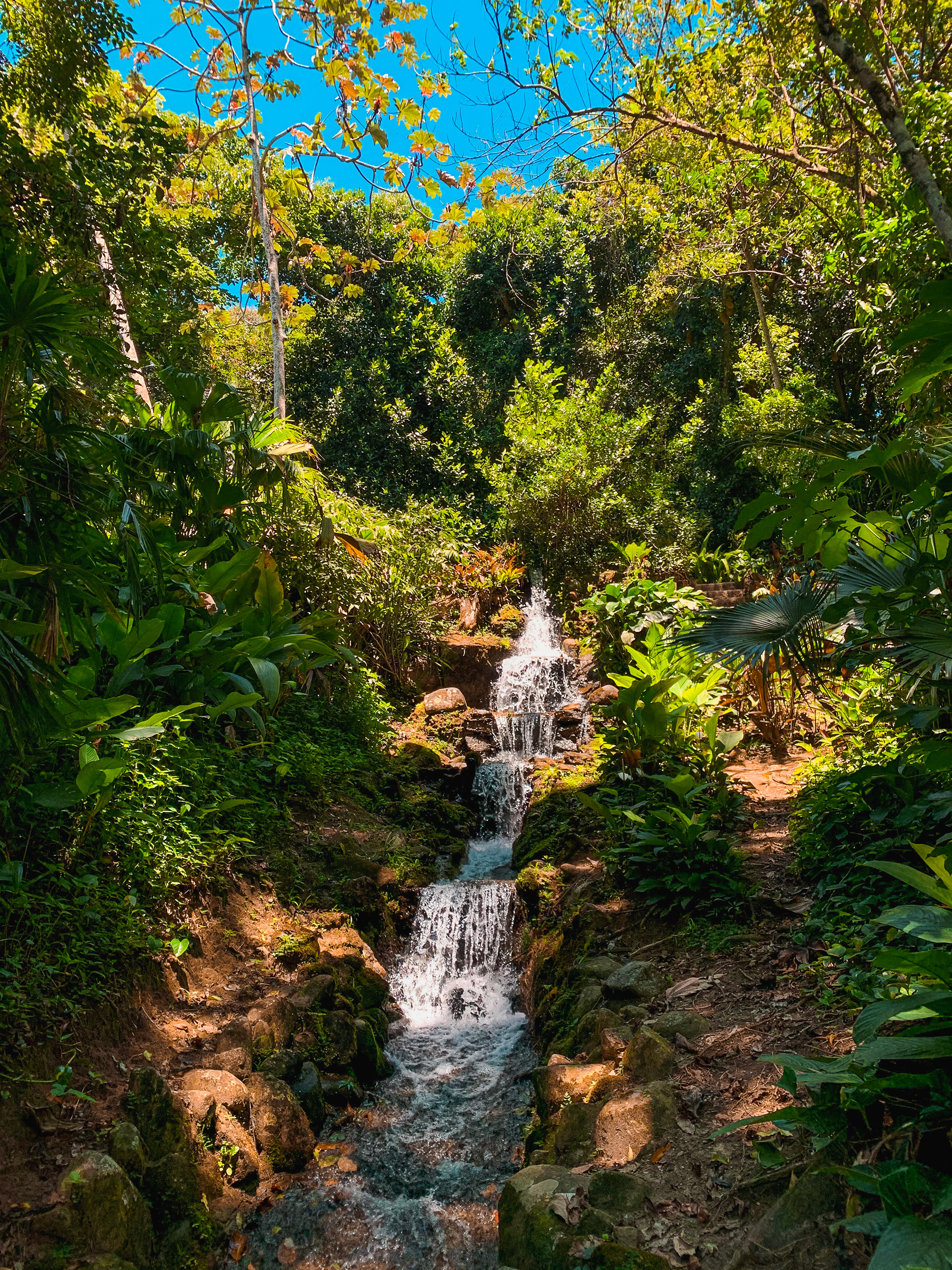 Jardim Botânico