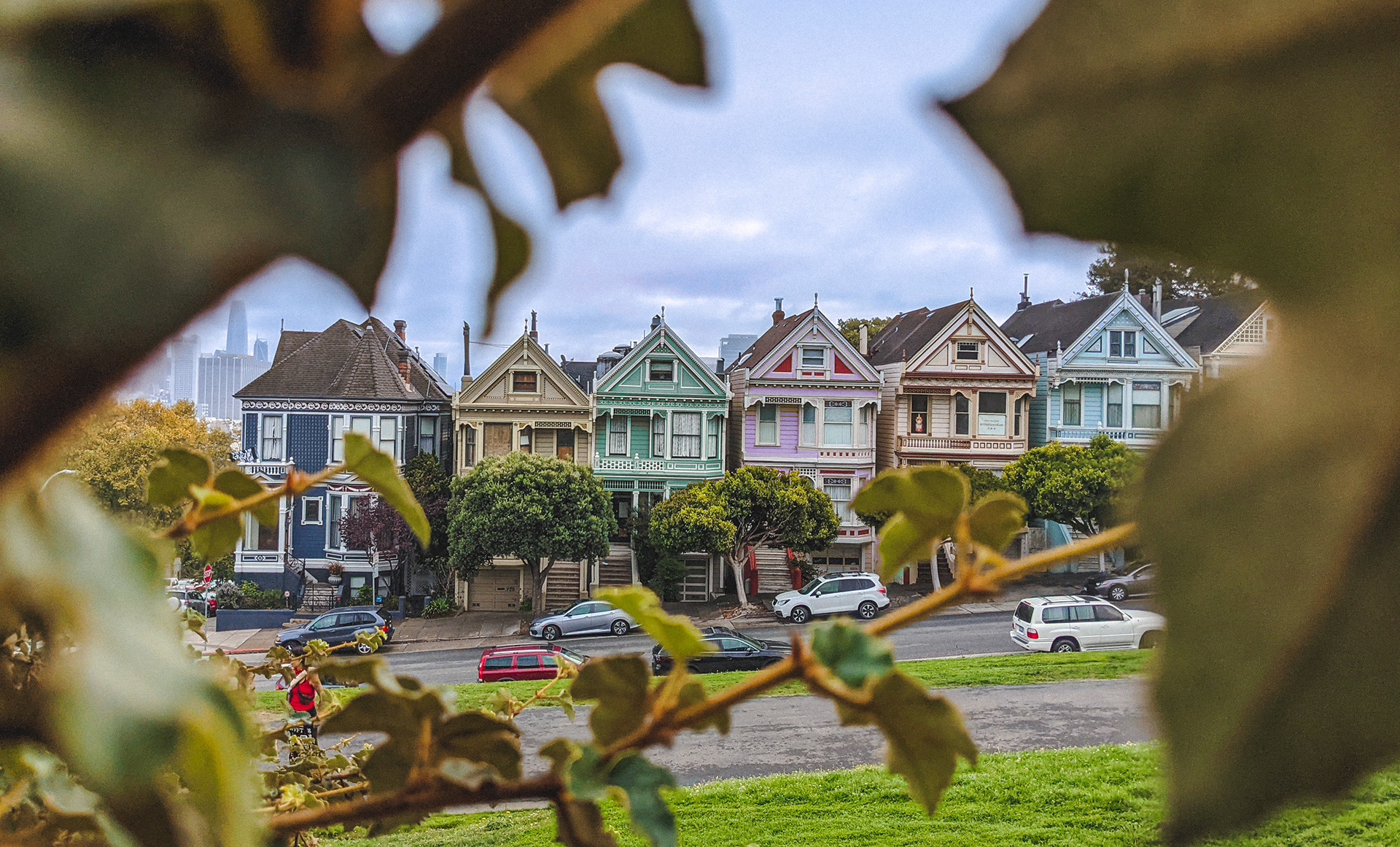 Painted Ladies