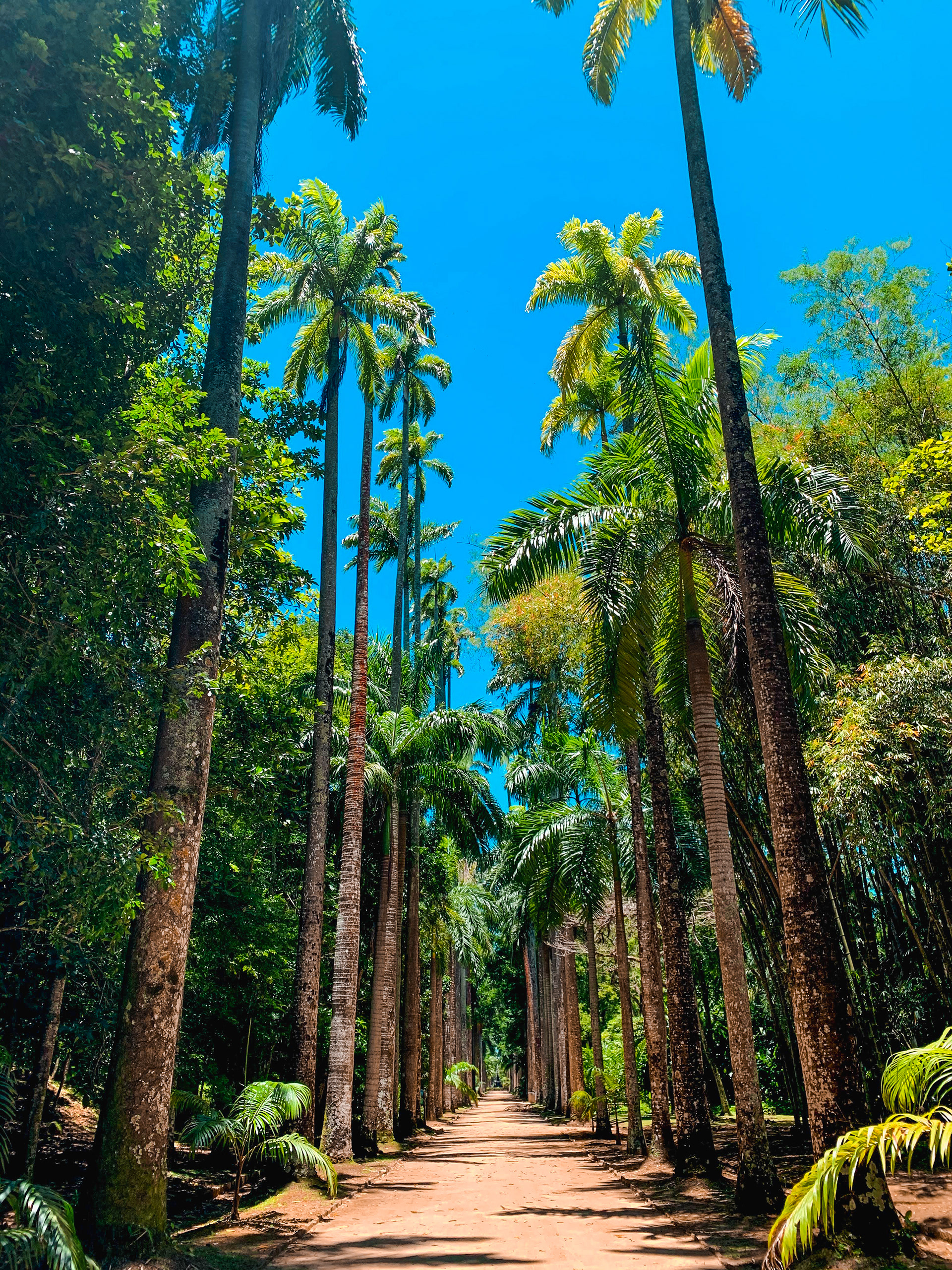 Jardim Botânico