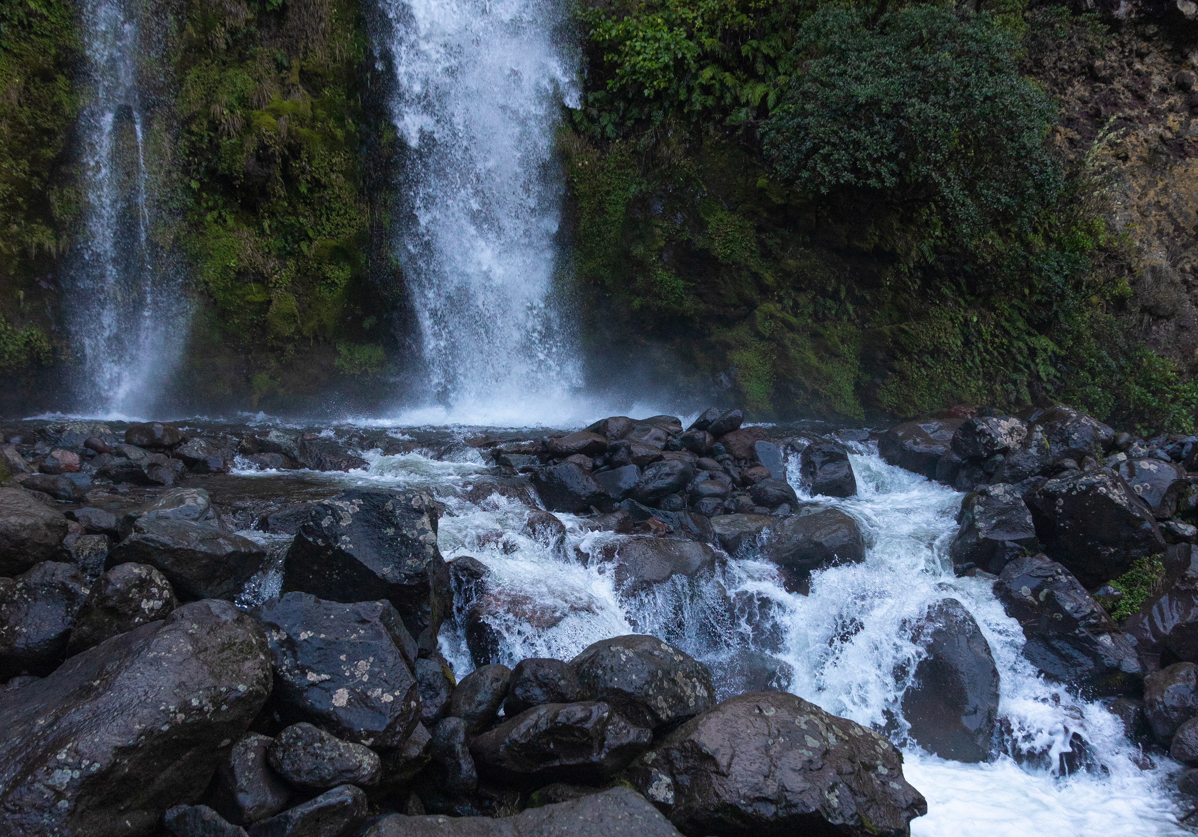Dawson Falls