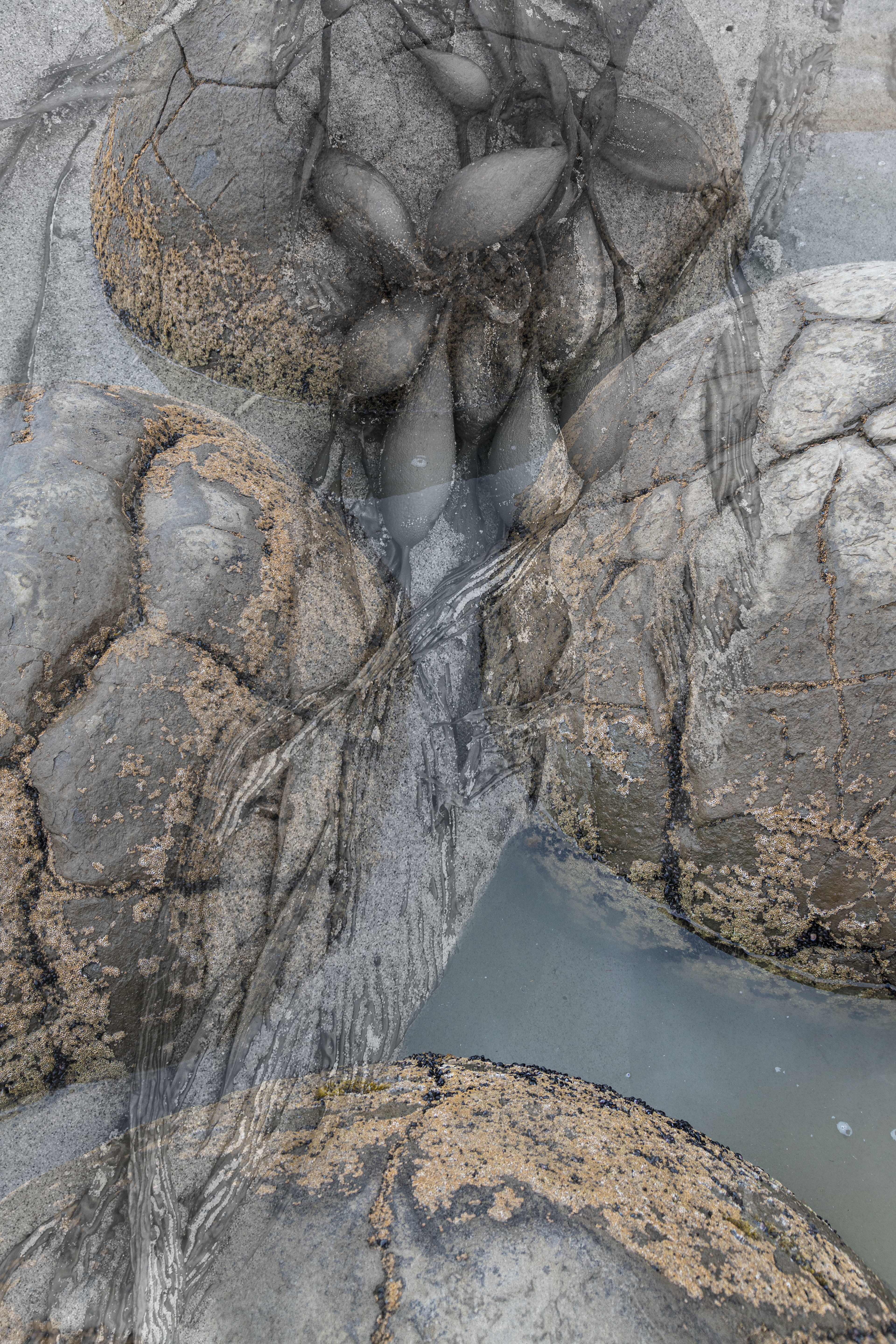 Moraki Abstract
