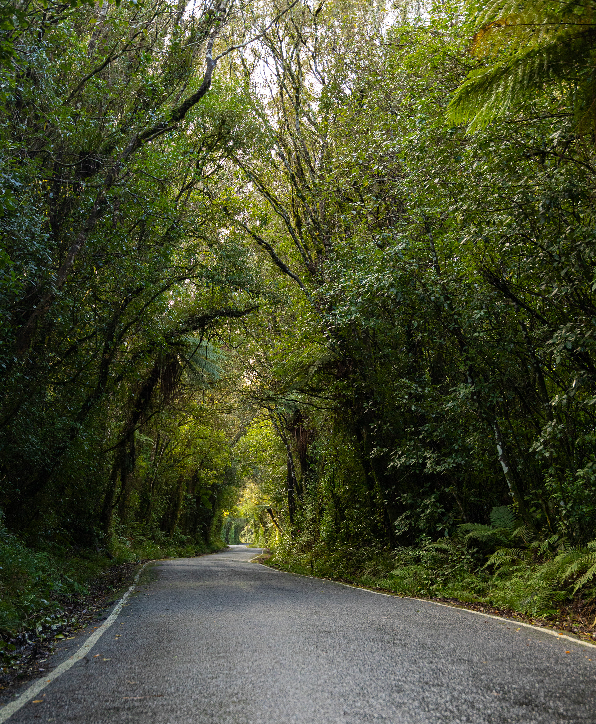 Manaia Road