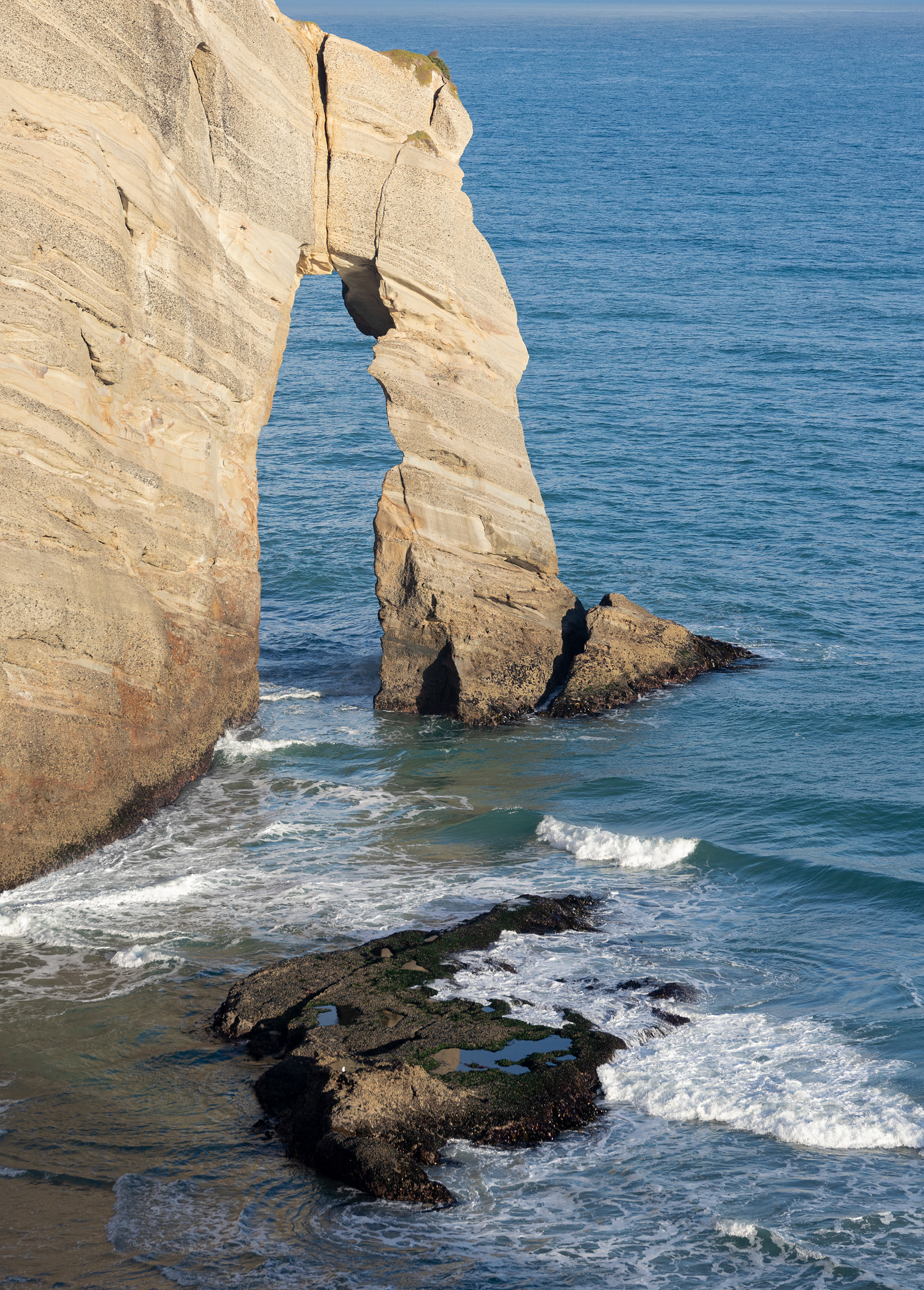 Capefarewell
