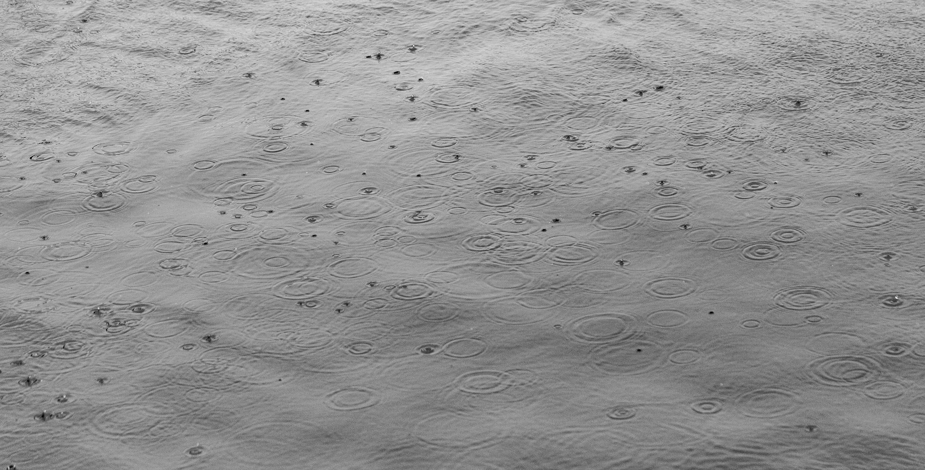 Ocean Rain