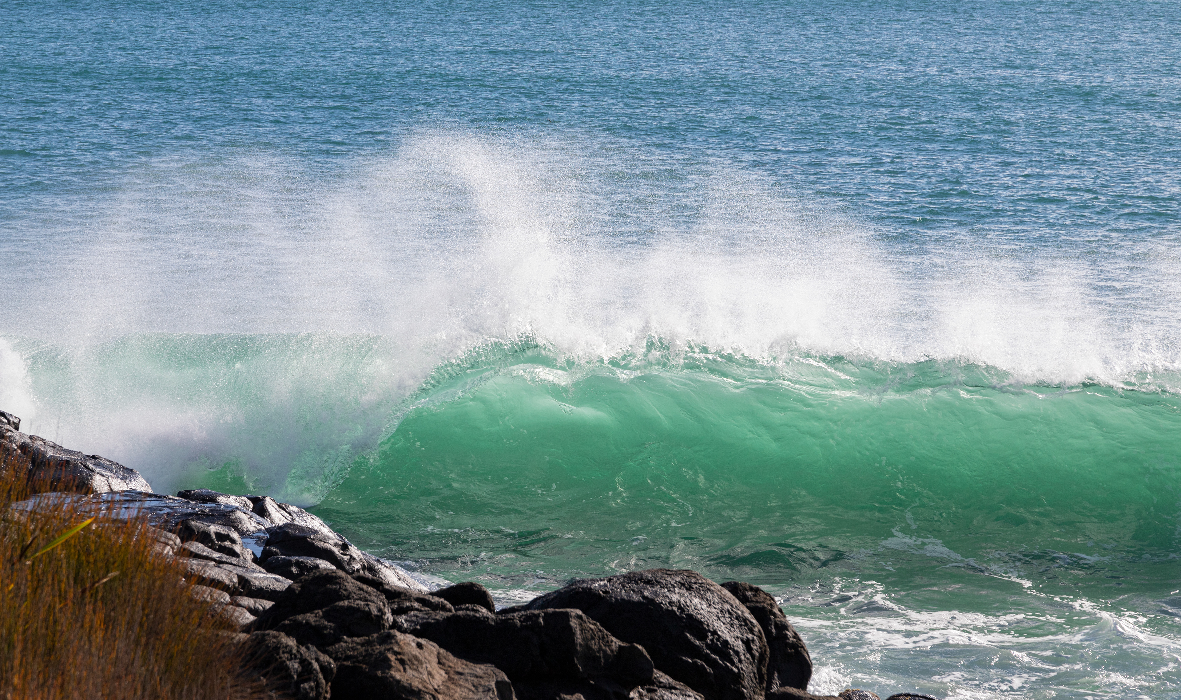 Raglan