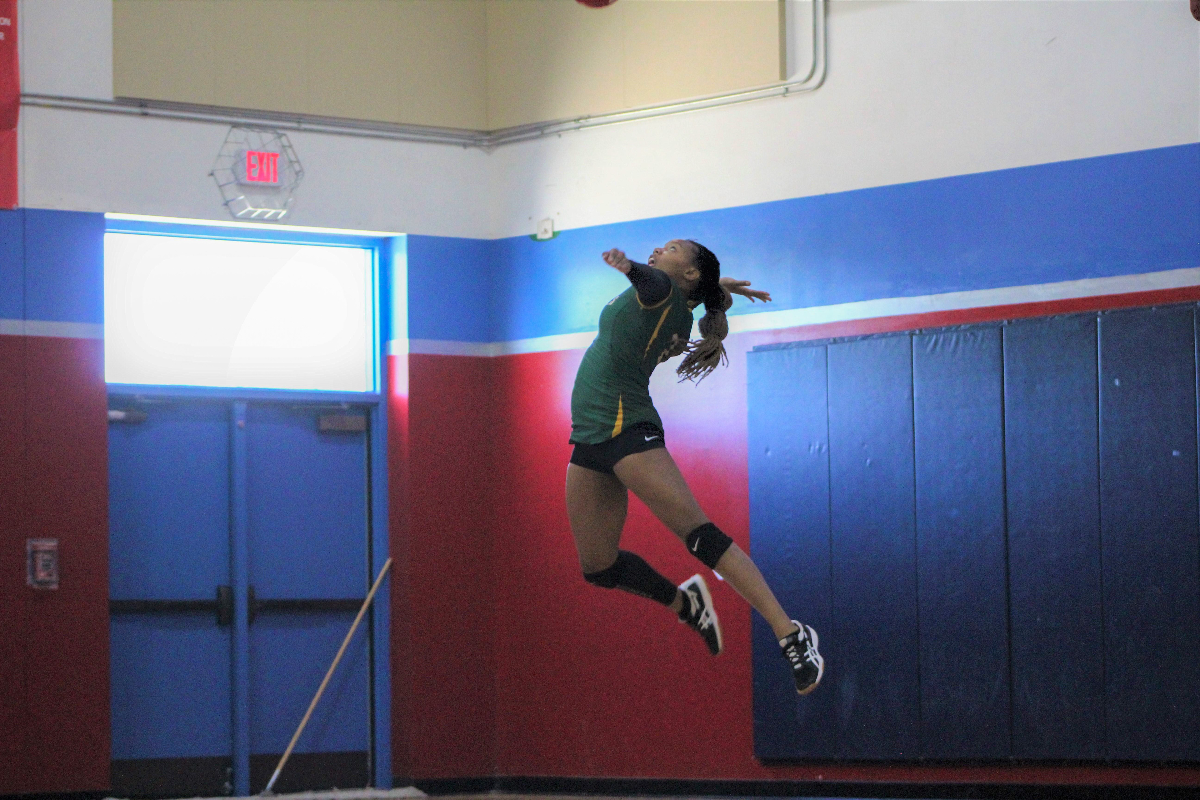 volleyball 2018