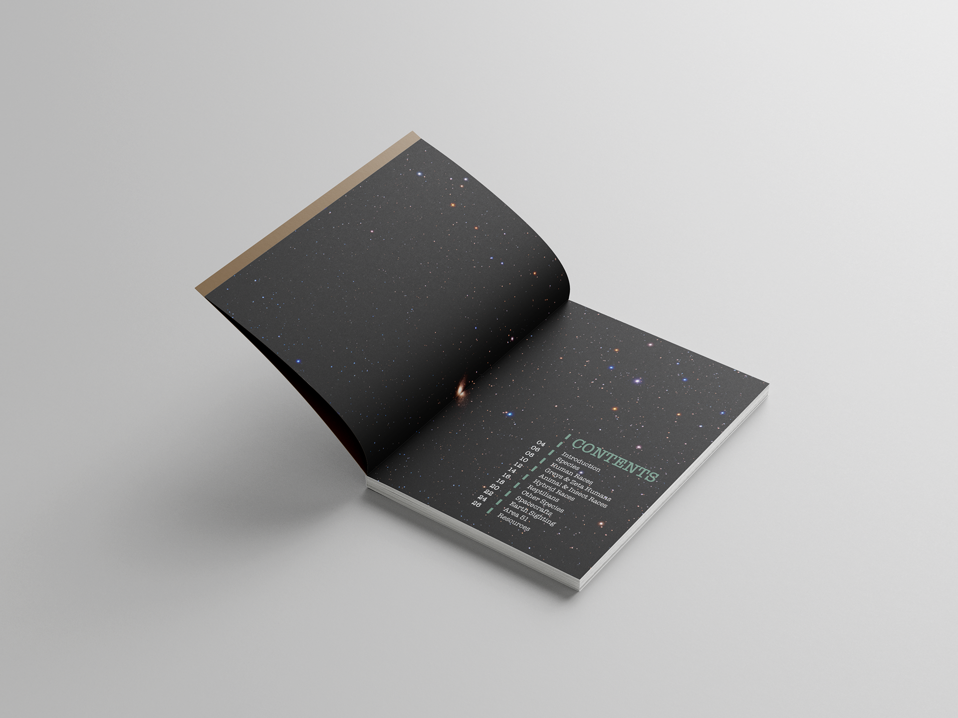 Table of Contents