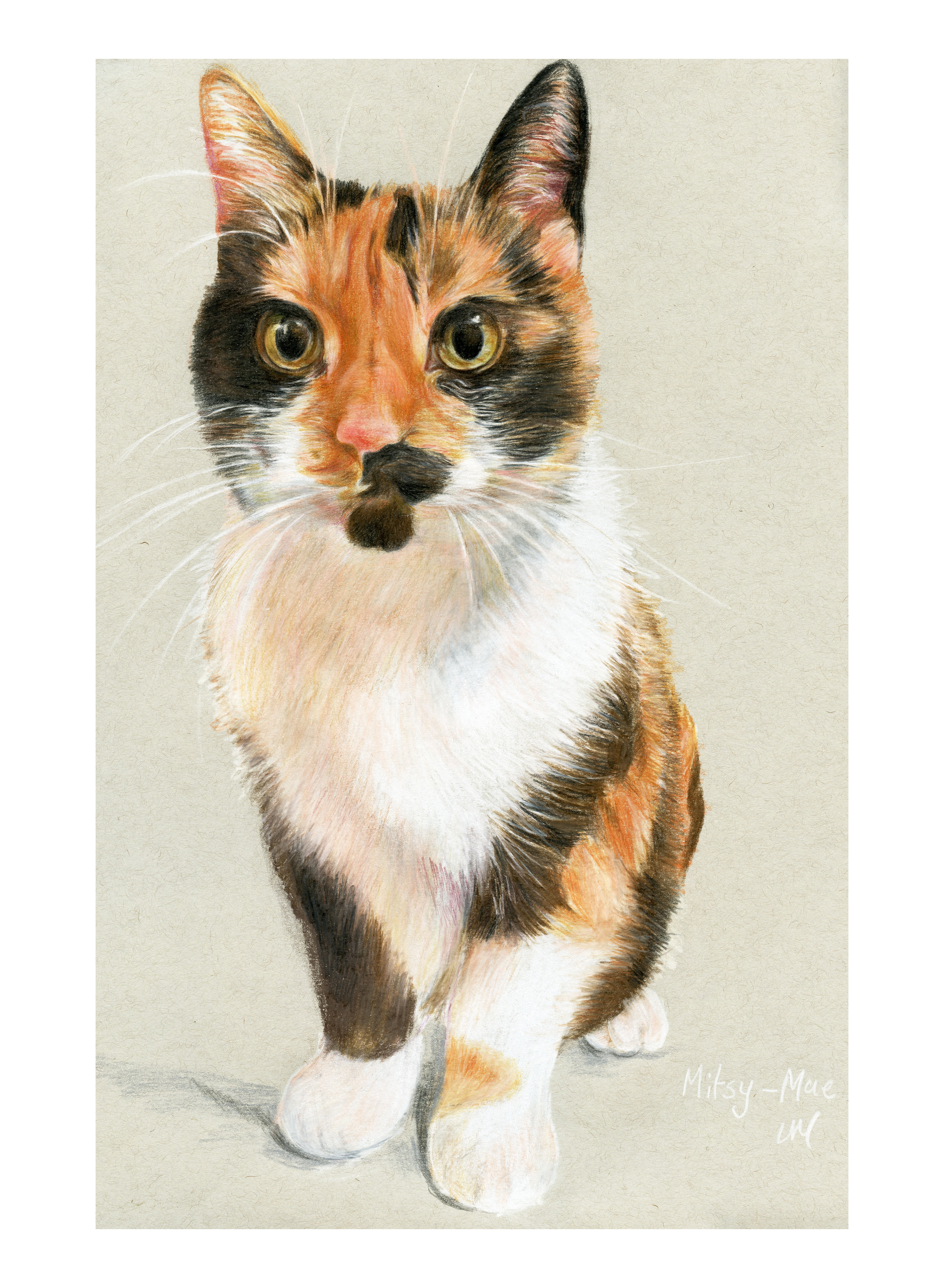 pencil drawing..Faber Castell Polychromos