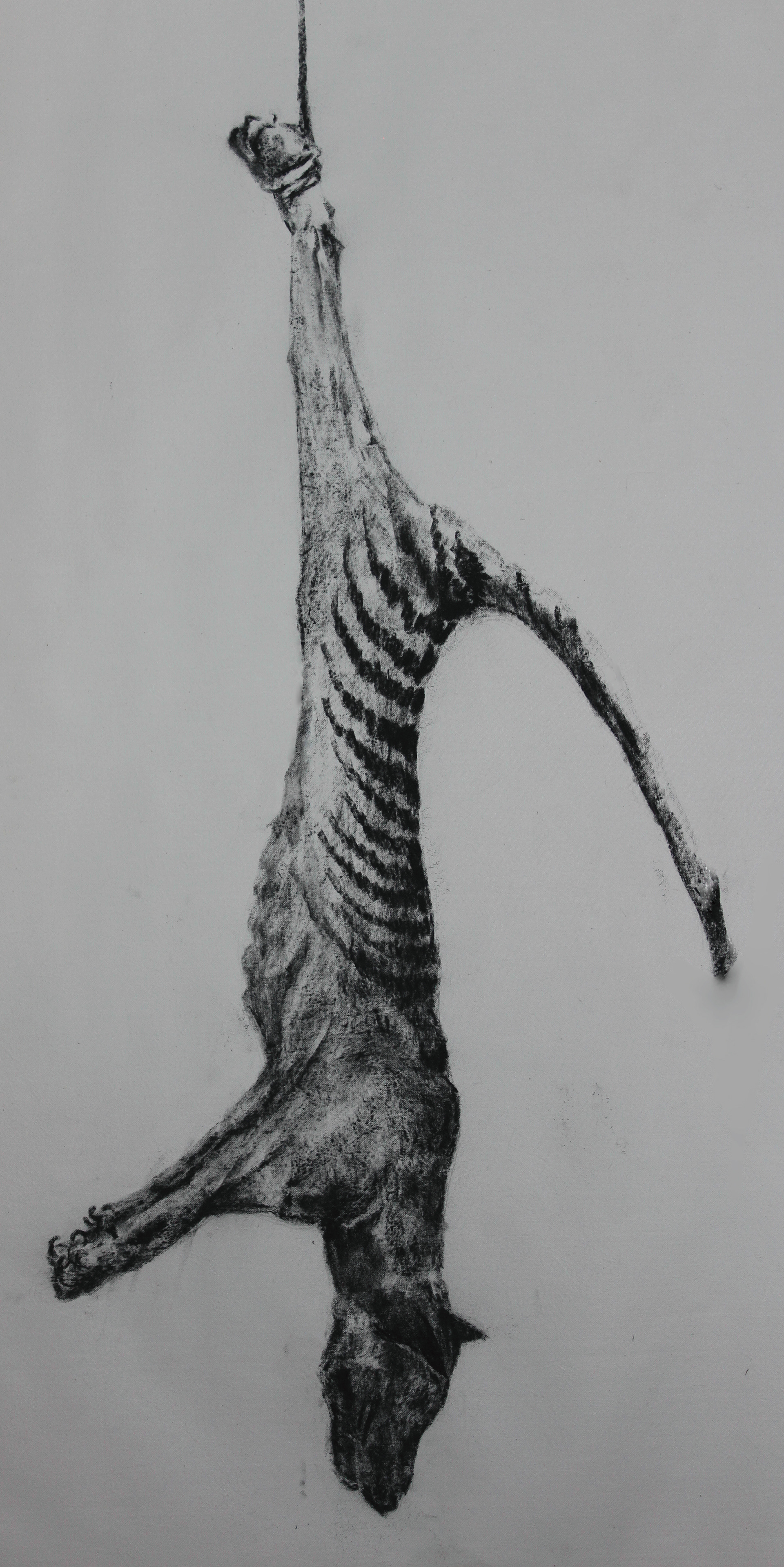 ...extinct.