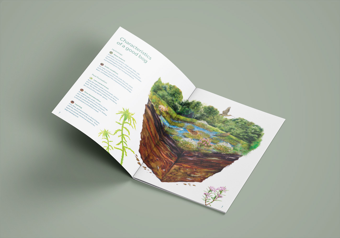 Streamscapes_The-BOG-revealed_Brochure_Designed-by-Natural-World-Design 2