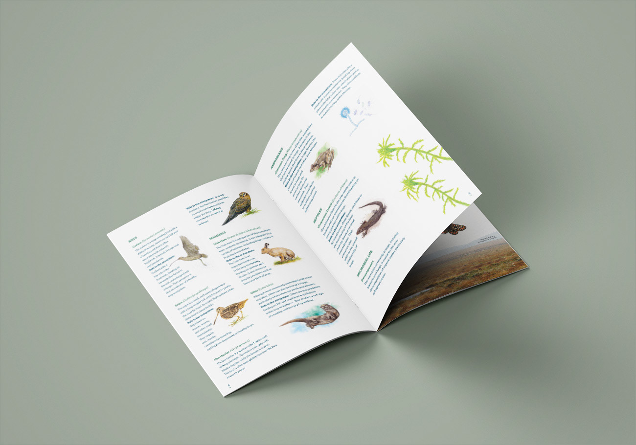 Streamscapes_The-BOG-revealed_Brochure_Designed-by-Natural-World-Design_4