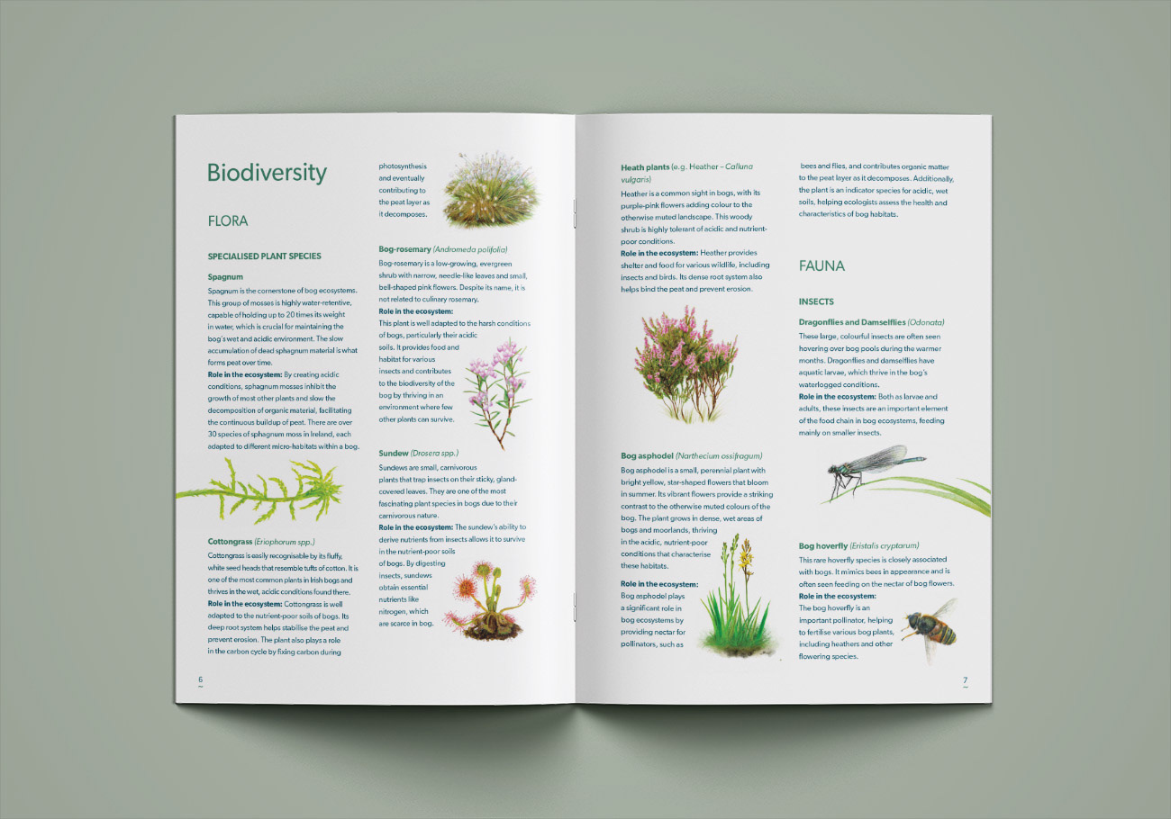 Streamscapes_The-BOG-revealed_Brochure_Designed-by-Natural-World-Design_3