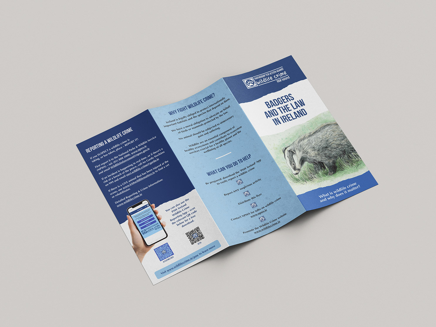 2-Wildlife Crime_badgers_Natural World Design
