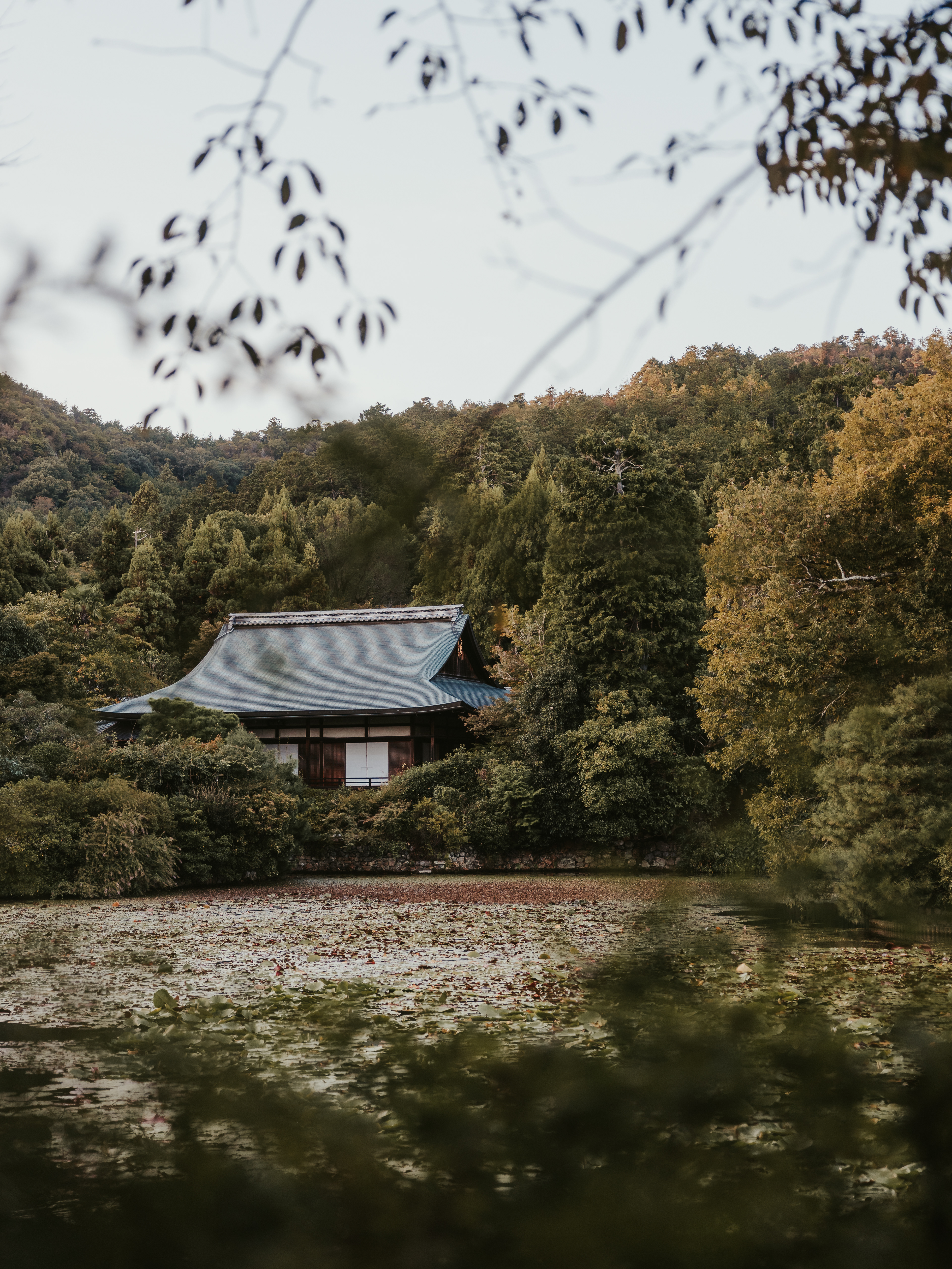 Japan