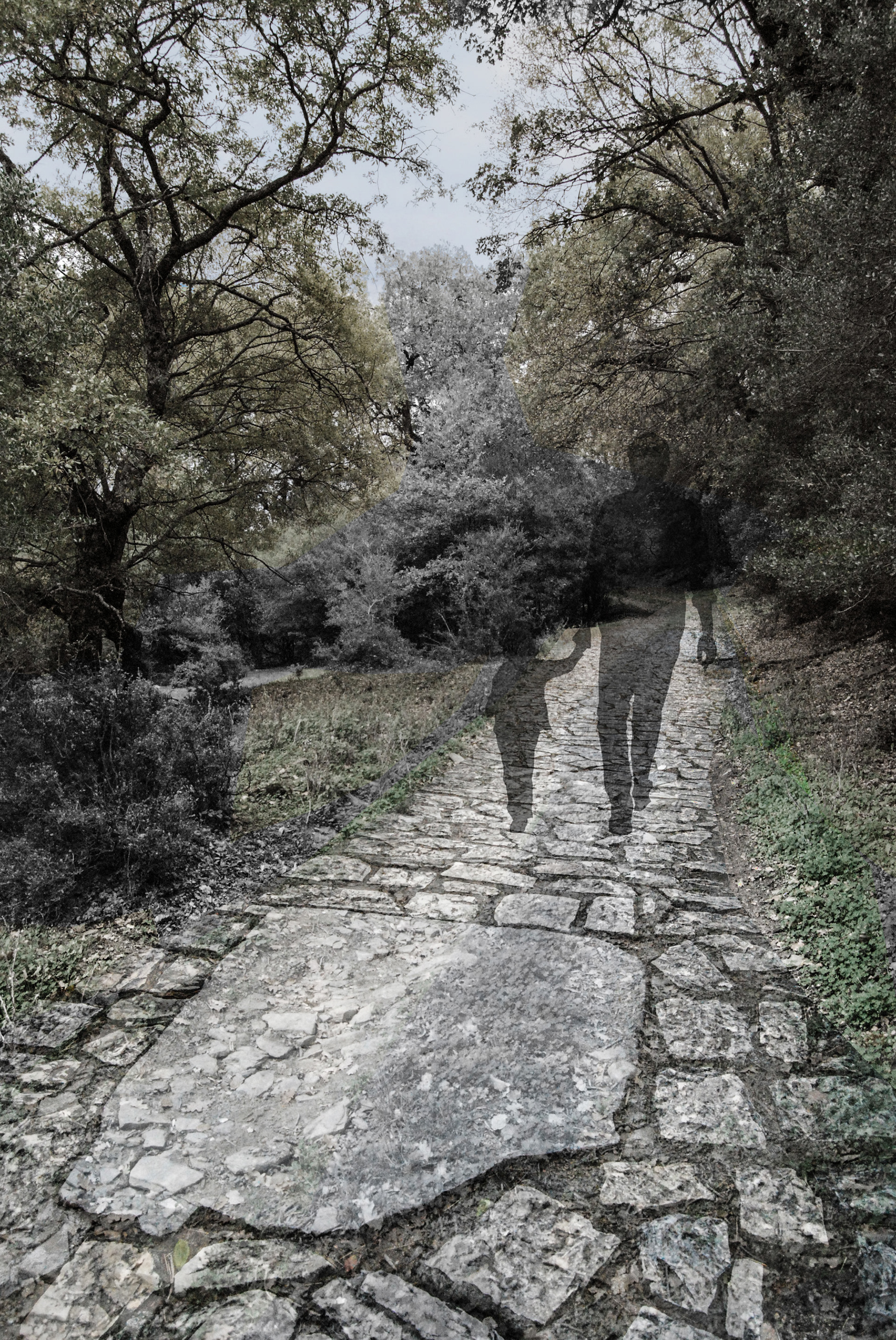 Surrounding Area: Paving & Sculpture Placement | Photoshop Collages