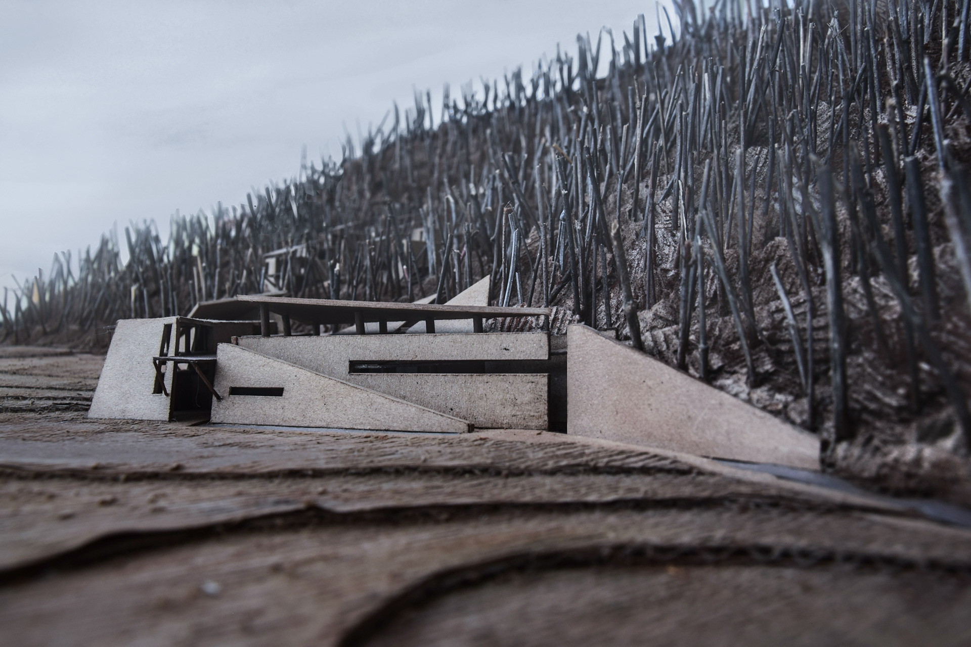  Thermal Baths and Guest Houses | Model, scale 1:200