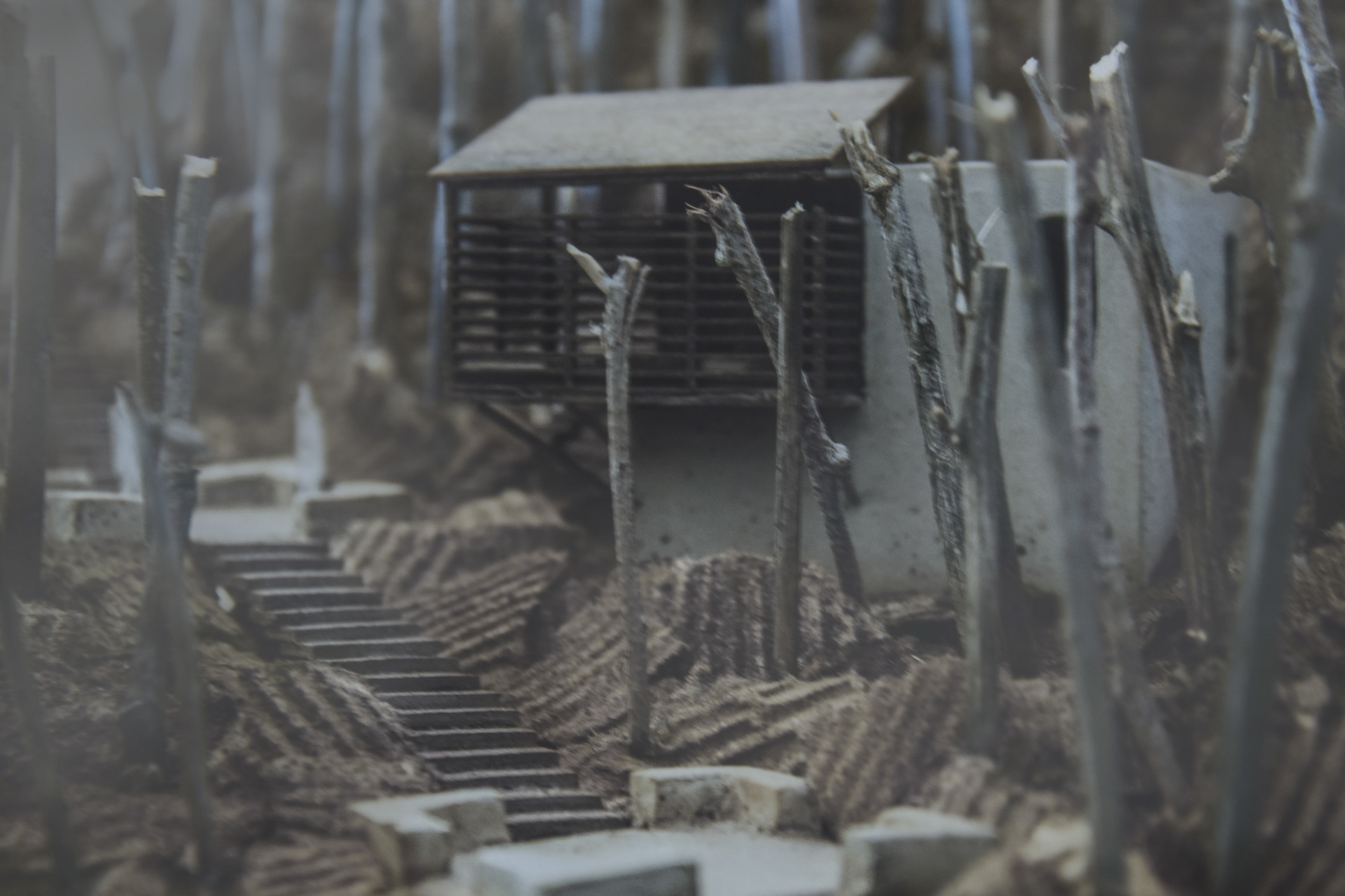 Guest House | Model, scale 1:100 