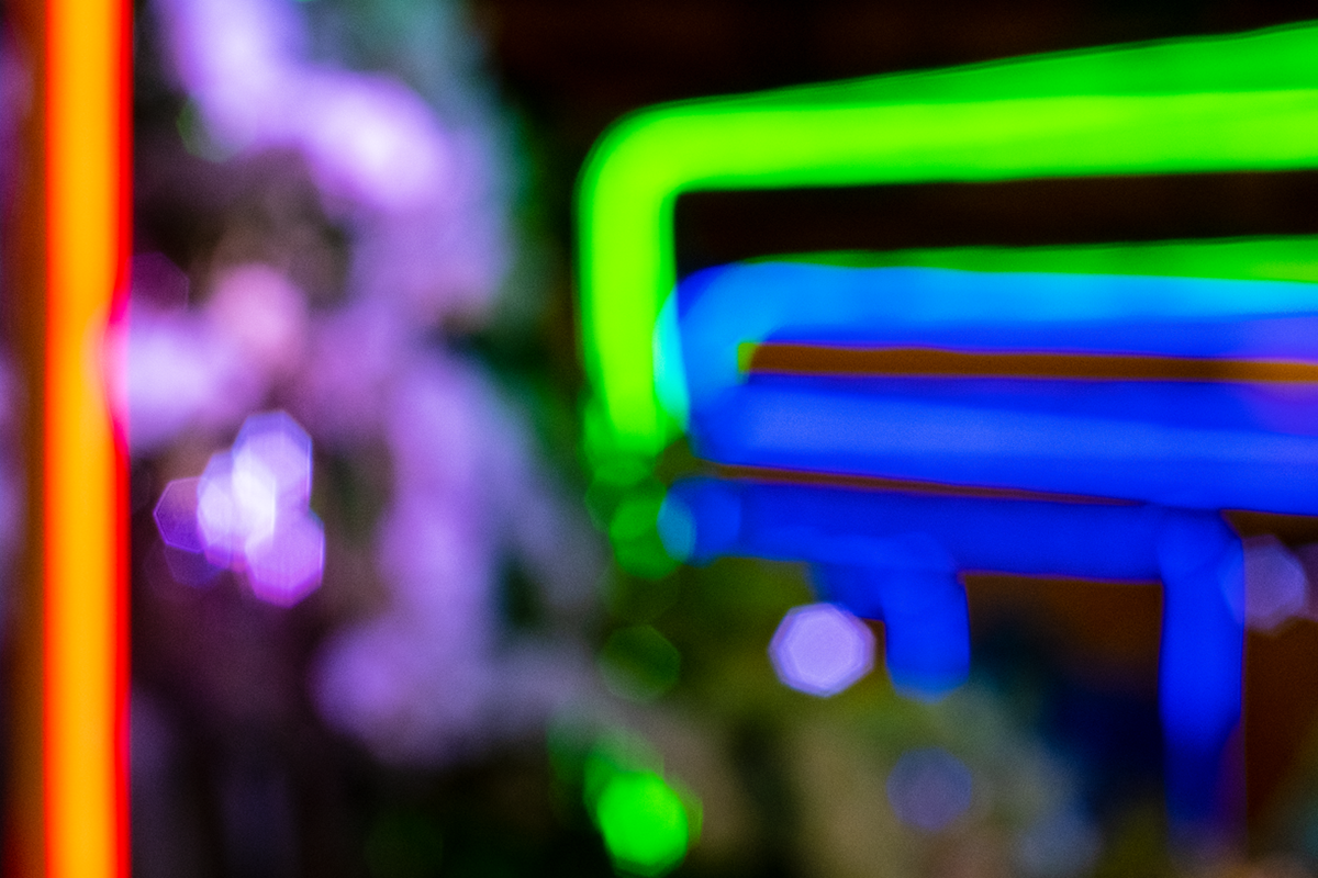 3/2/19 - Philadelphia Flower Show