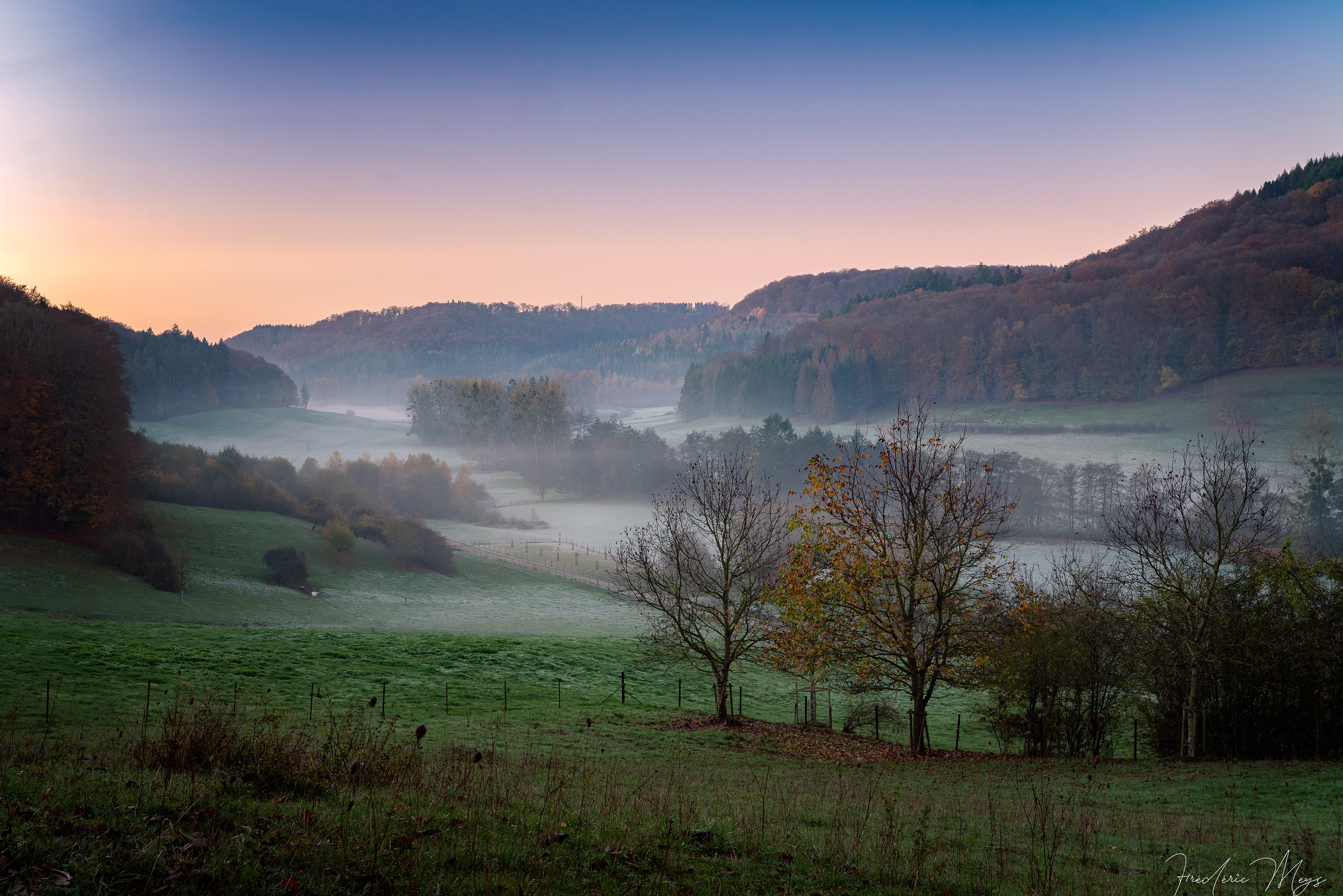 Morning fog in Schoenfels - 2020