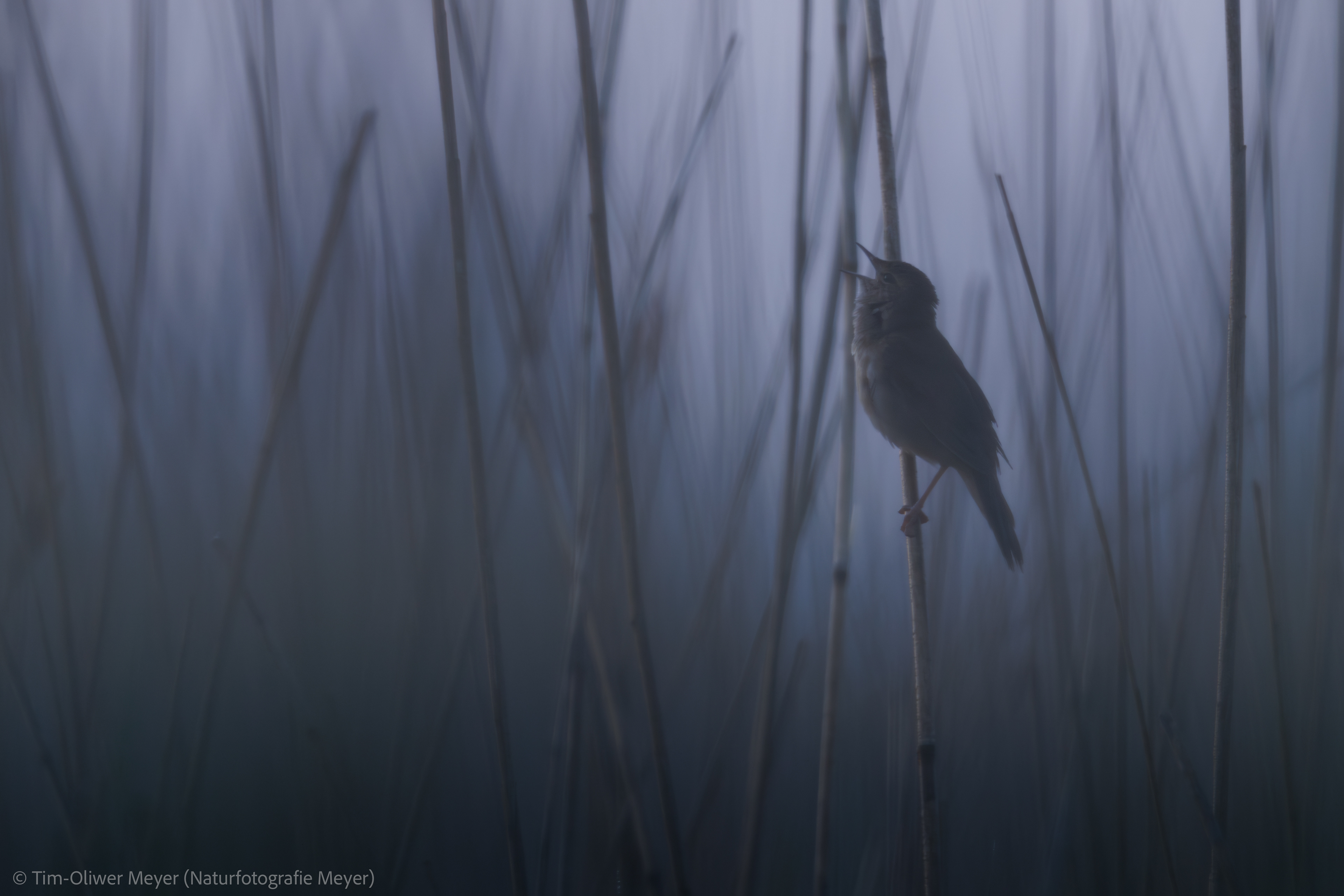 Rohrschwirl / Pipe Swirl