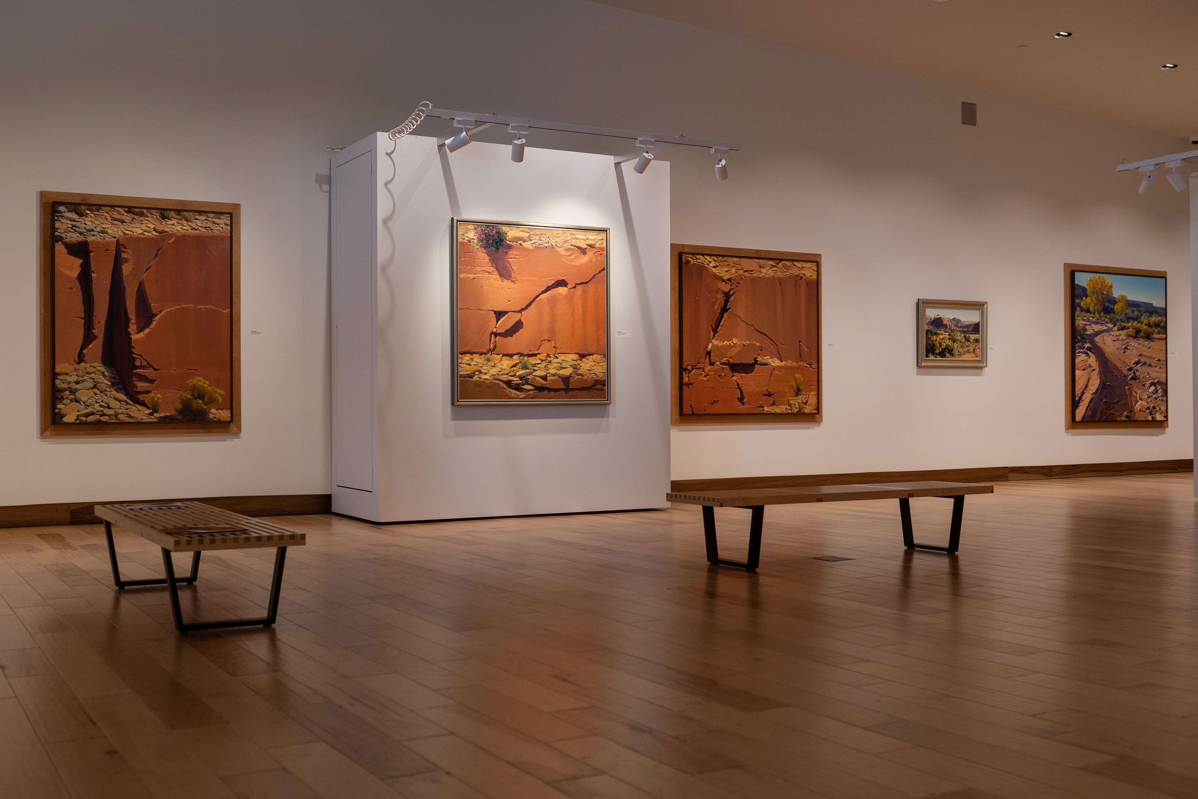Kate Starling: A Study of Scale