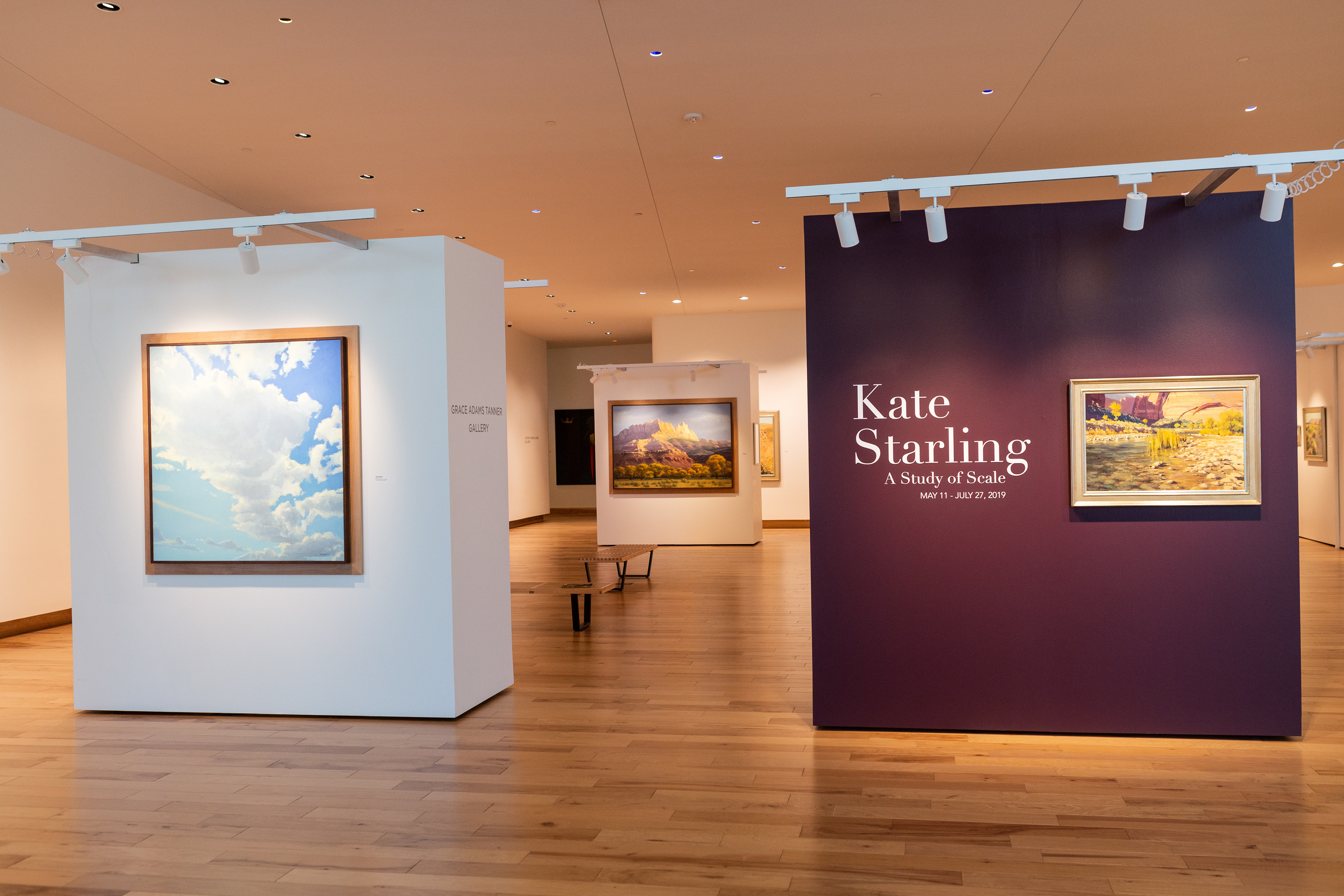 Kate Starling: A Study of Scale