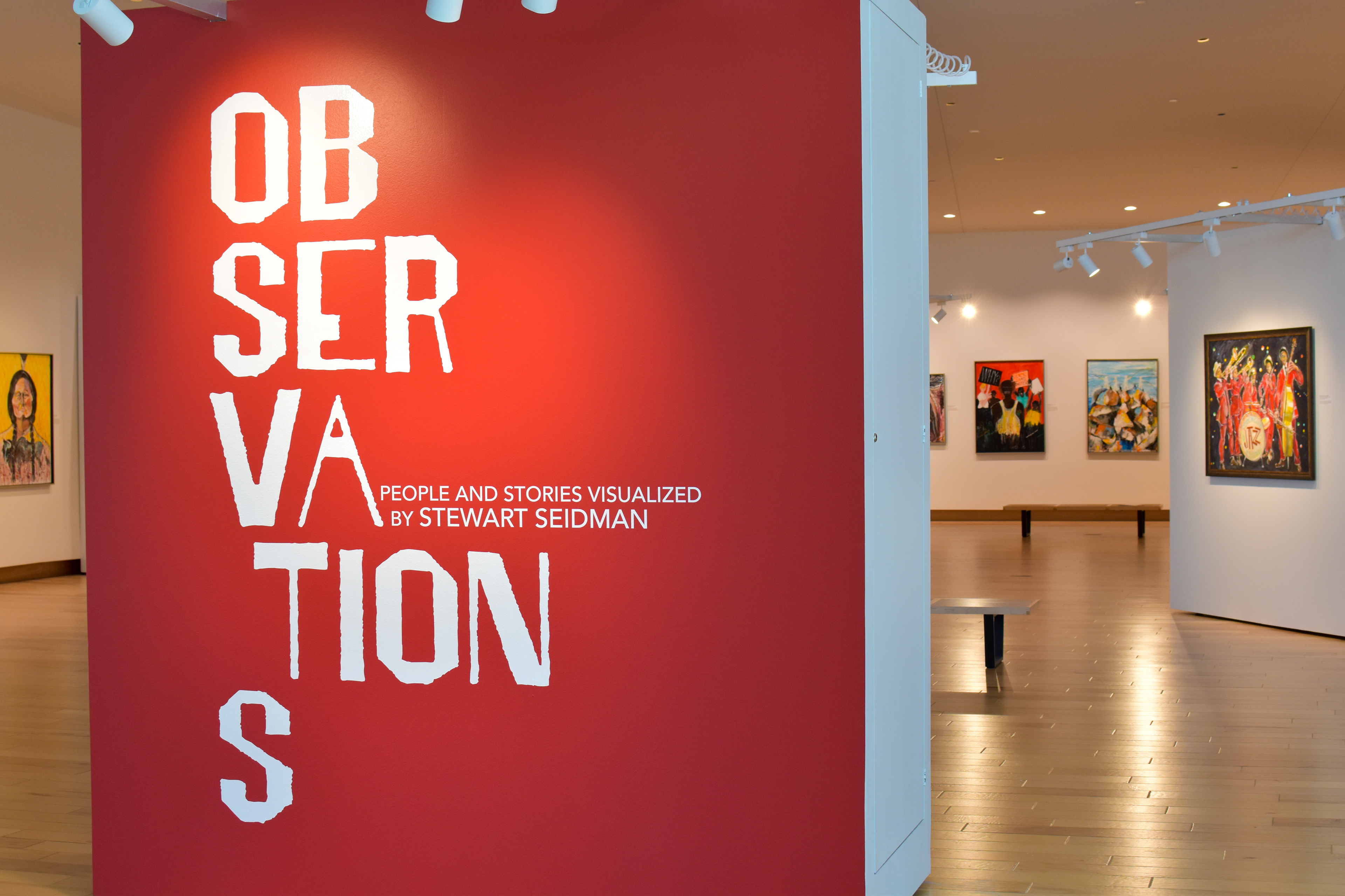 Observations: People and Stories Visualized by Stewart Seidman