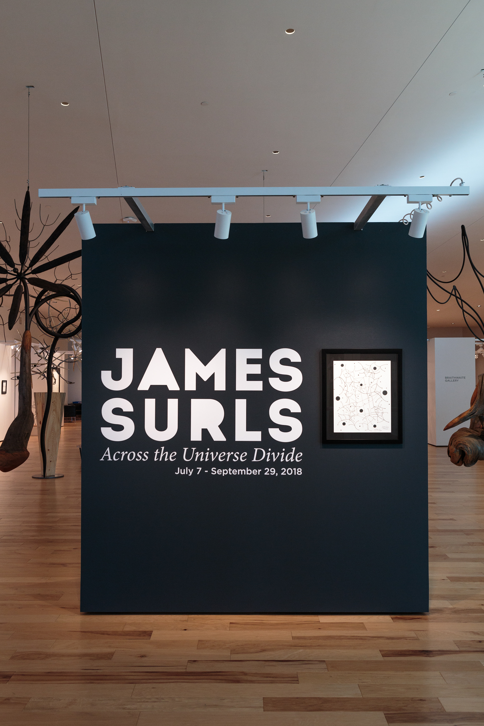 James Surls: Across the Universe Divide