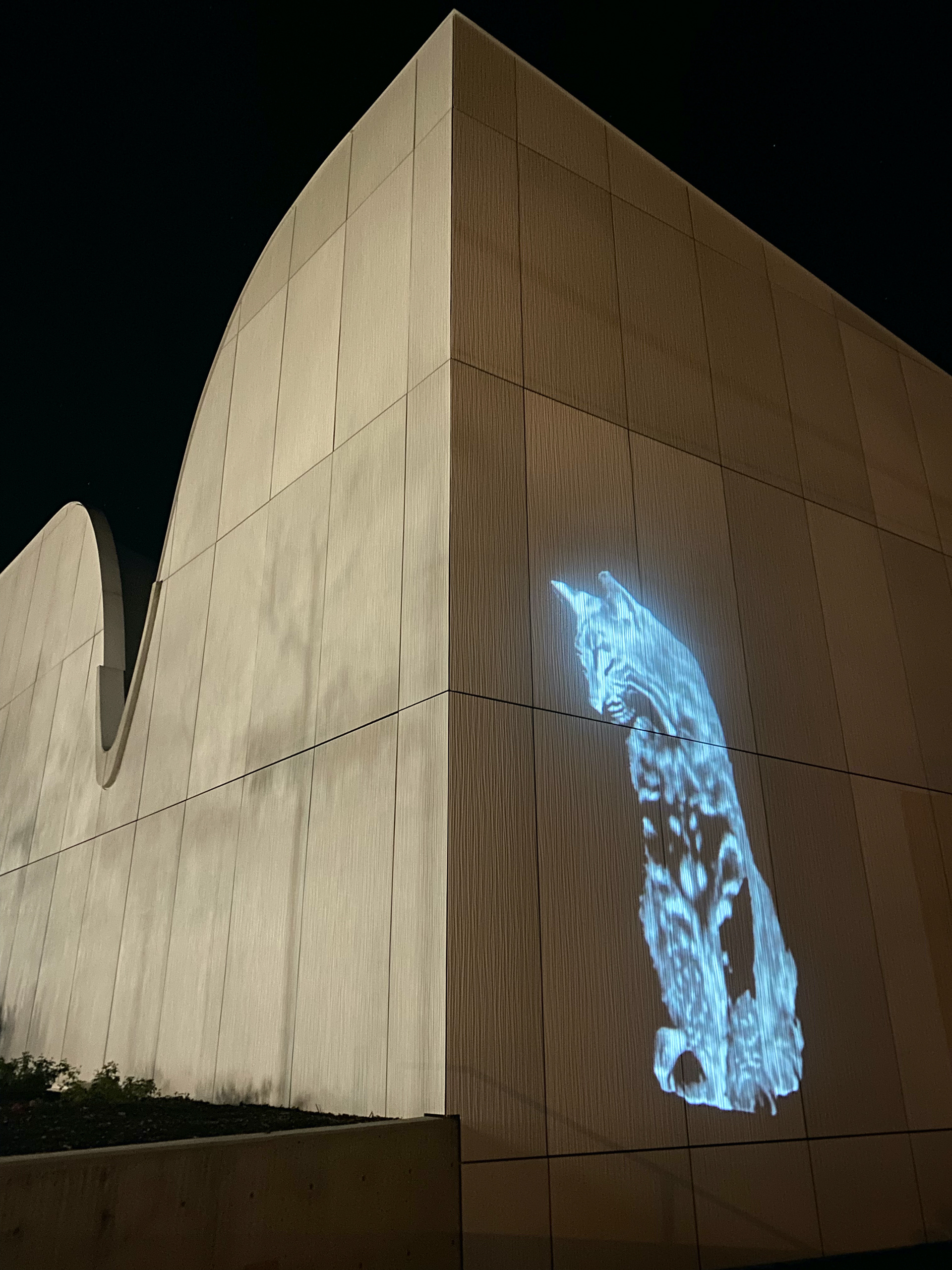 This Earth - Outdoor Projection