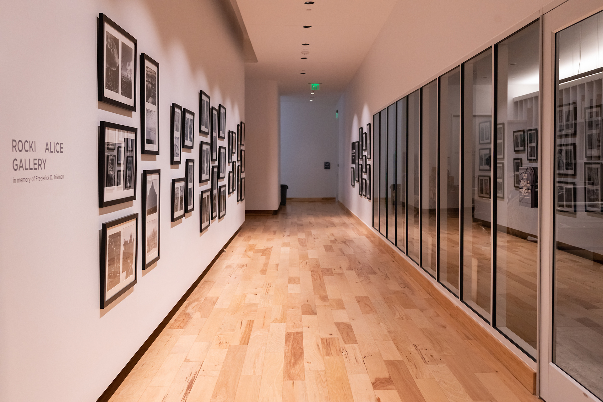 Our Natural World: The Photography of Brett Weston & Jumpstart Students