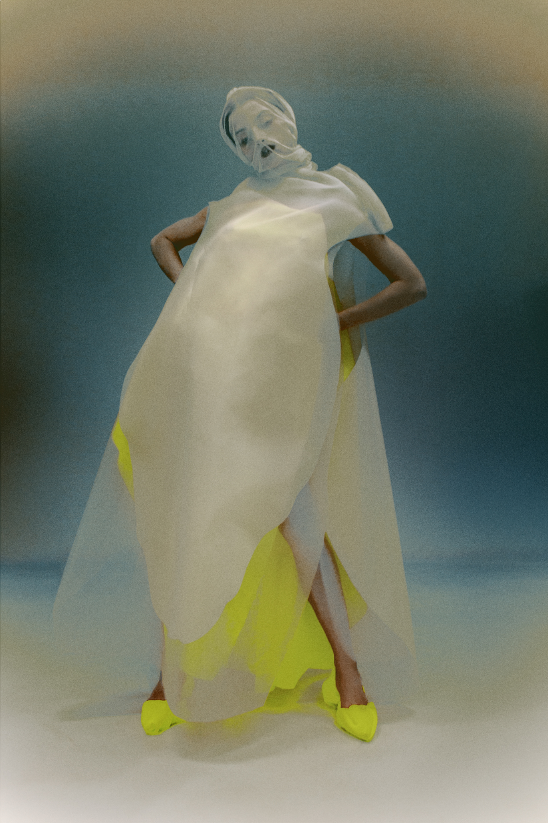 for Magda Rajnohova