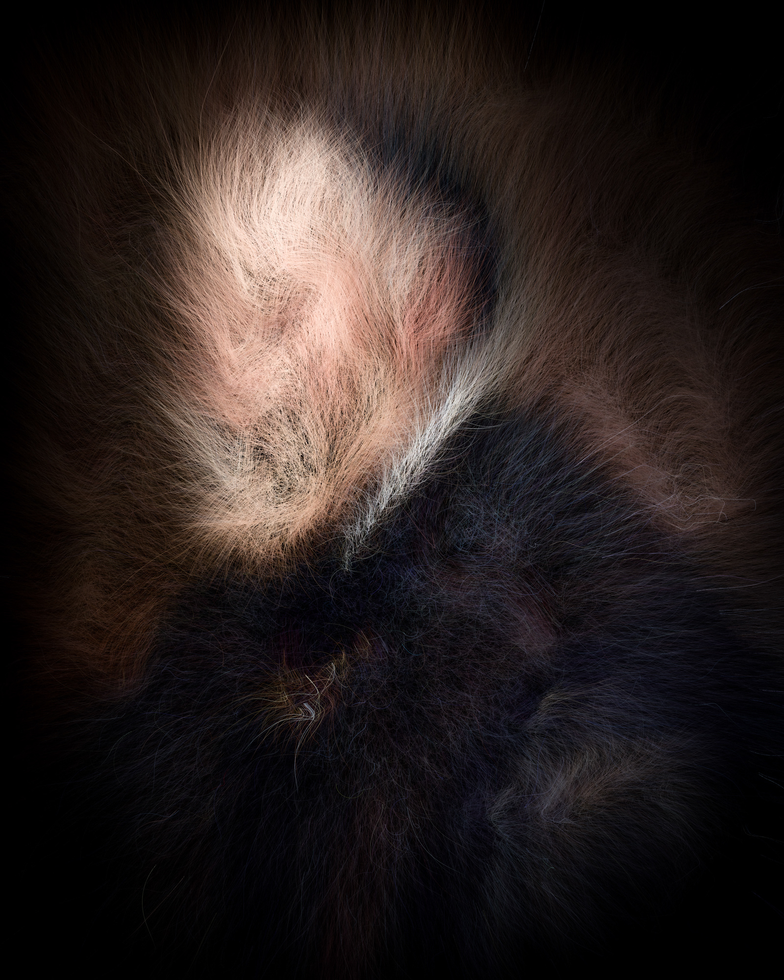 Paradiso Perduto (Ti1)