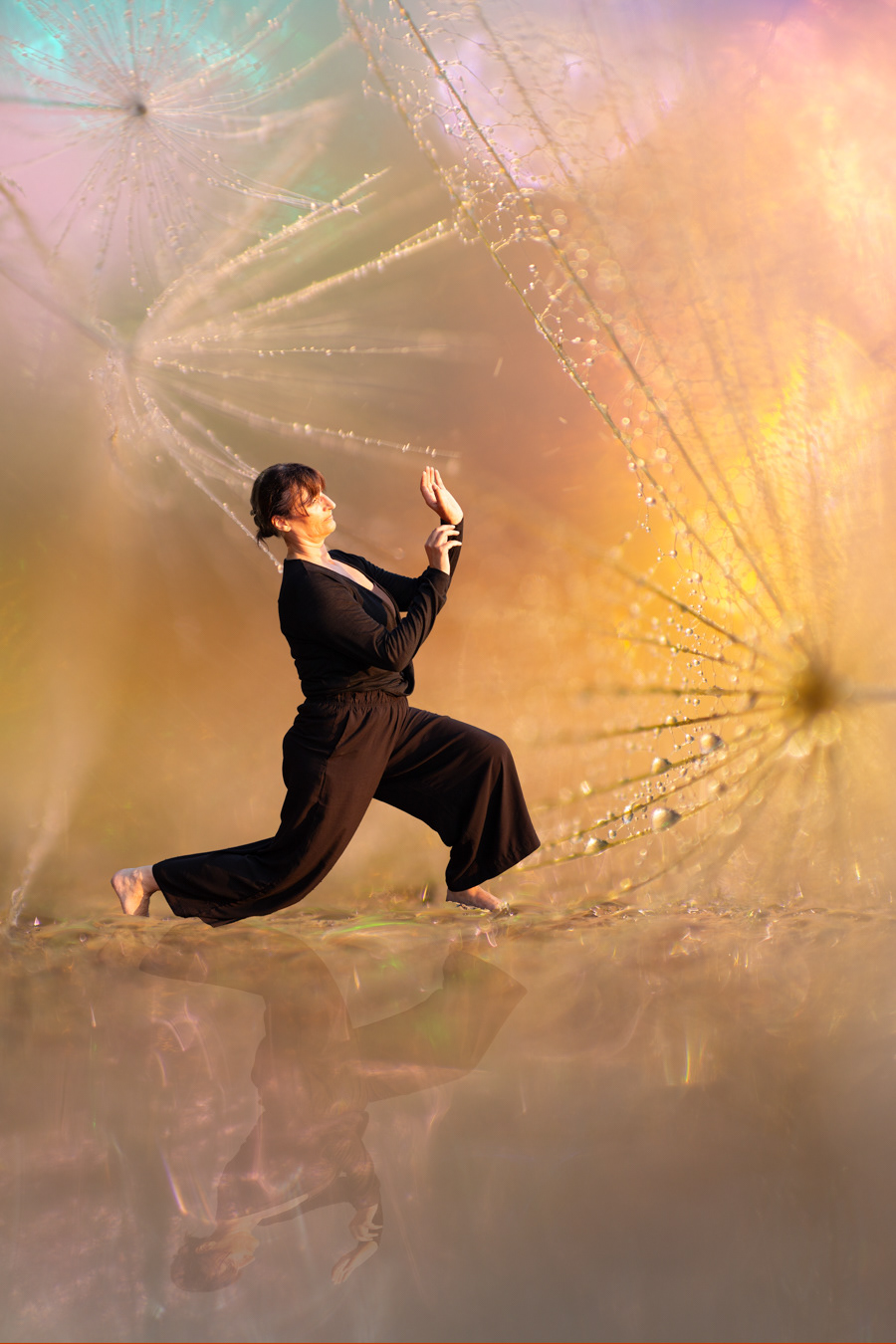 W37 Unreality / Radiate Warmth